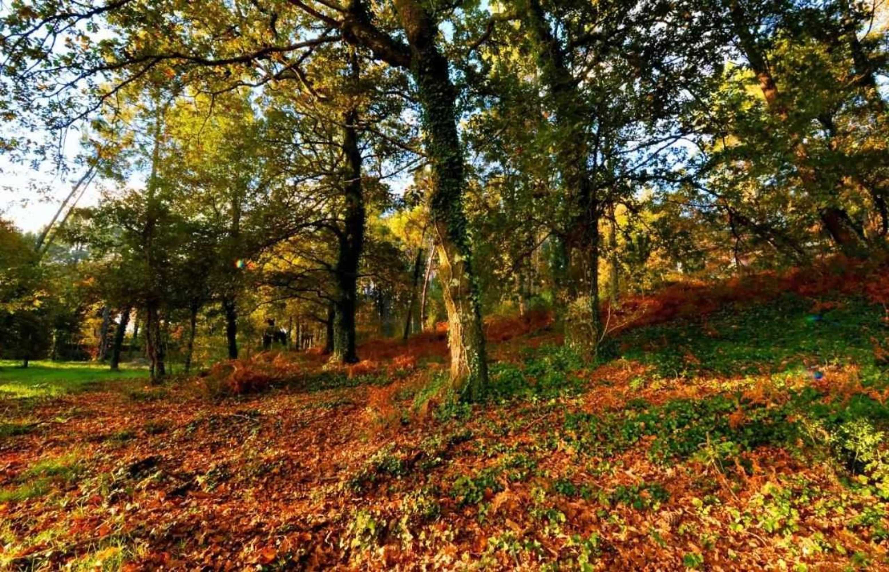 Gift card for Casas do Ermo Ermo Villas