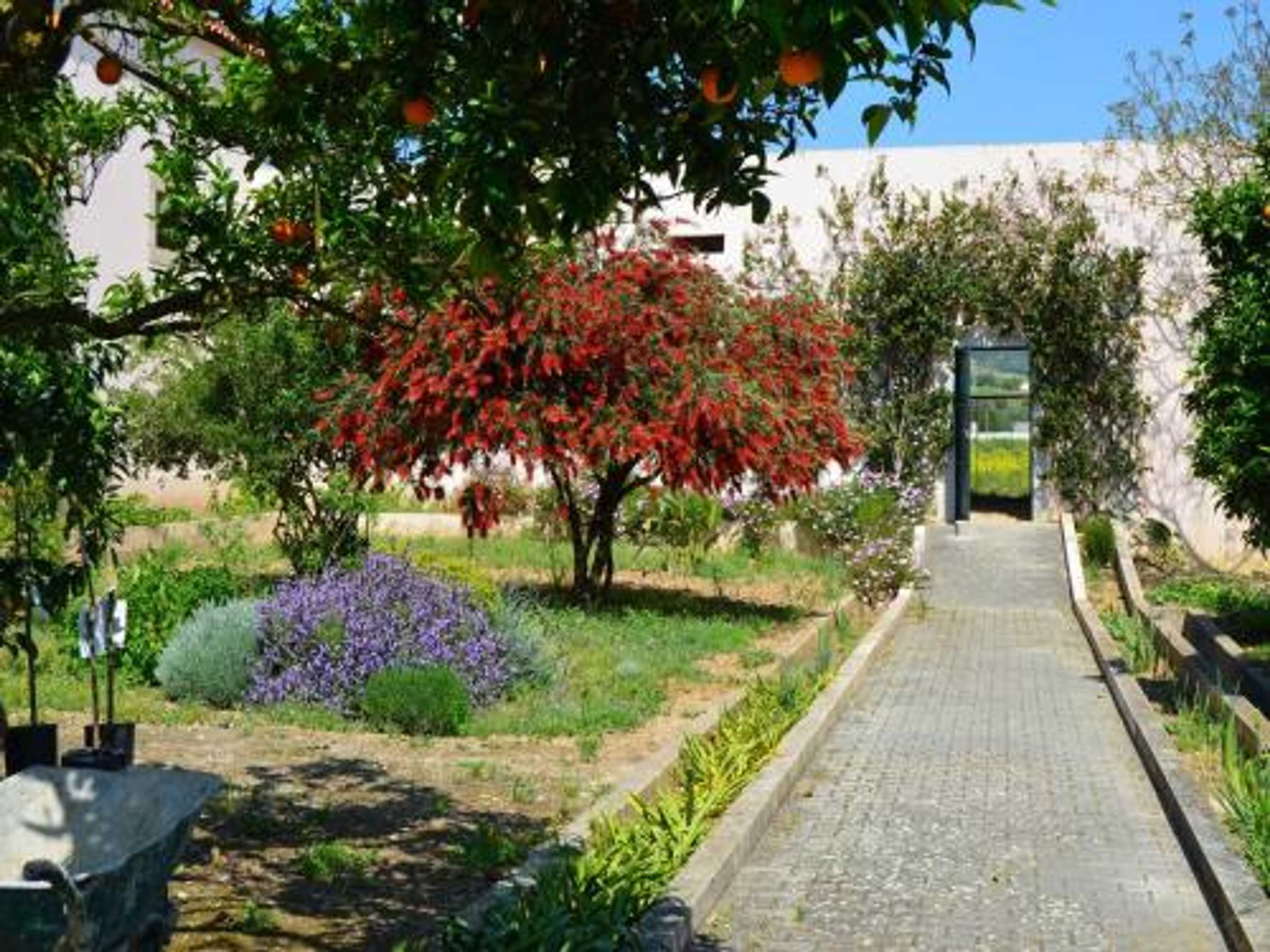 Gift card for Quinta do Covanco Gift card for Quinta do Covanco