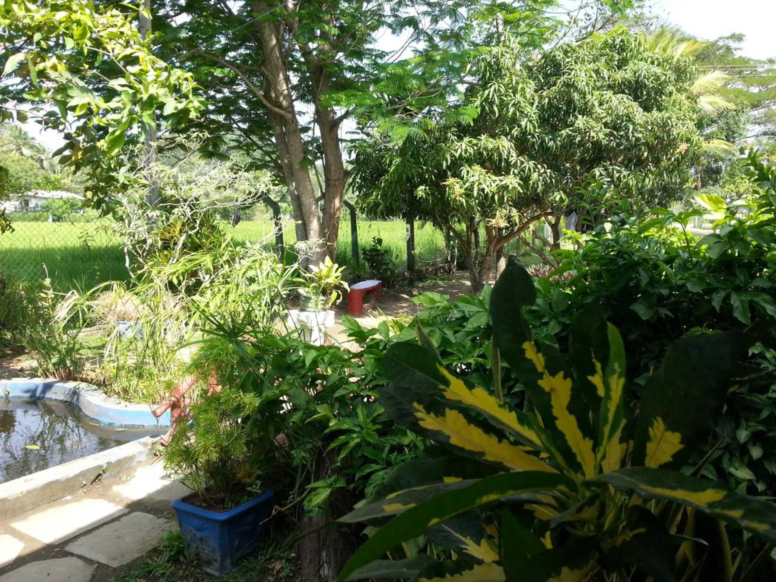 Gift card for Hansika Guest Inn