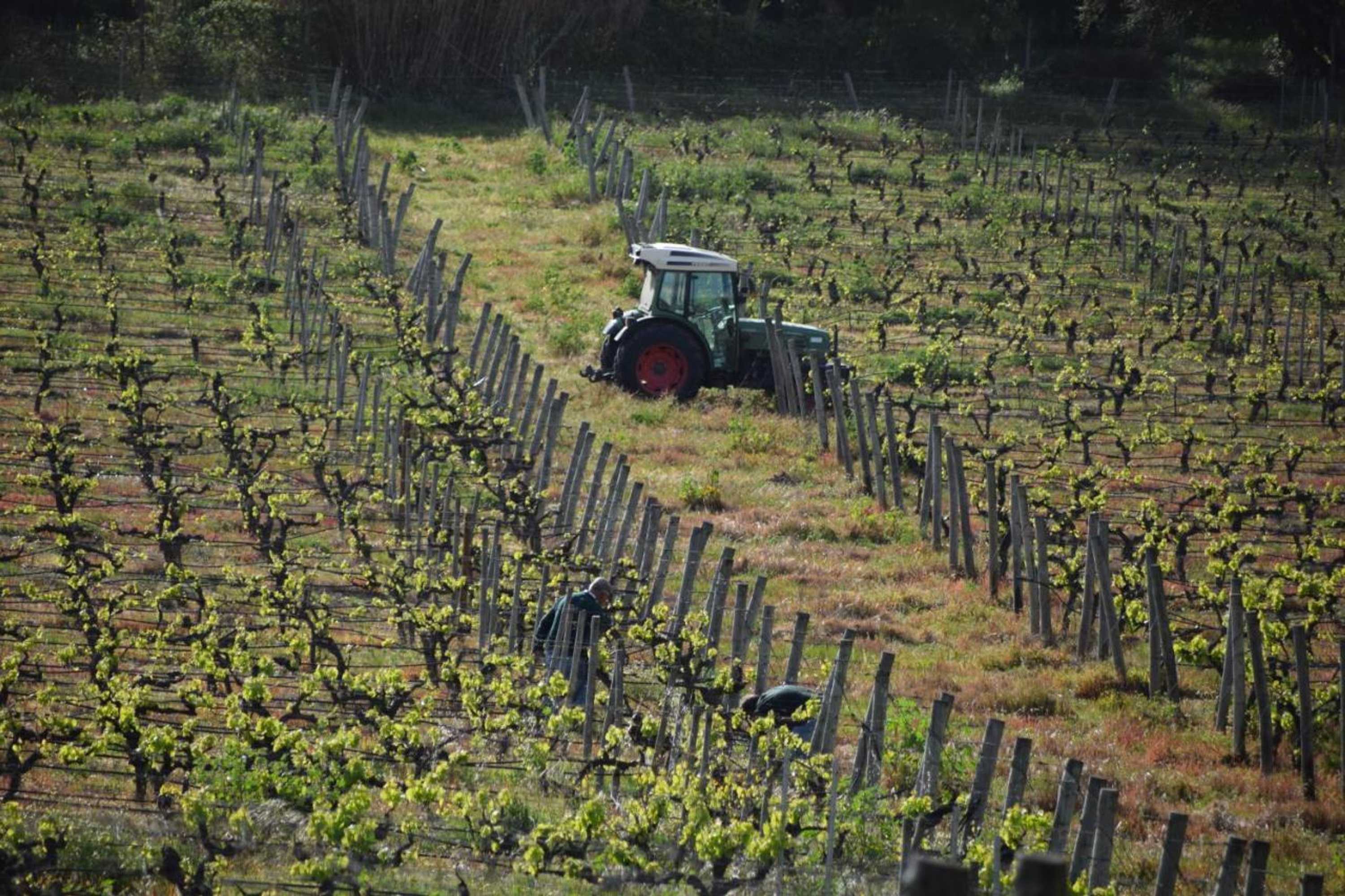 Gift card for Quinta De Catralvos