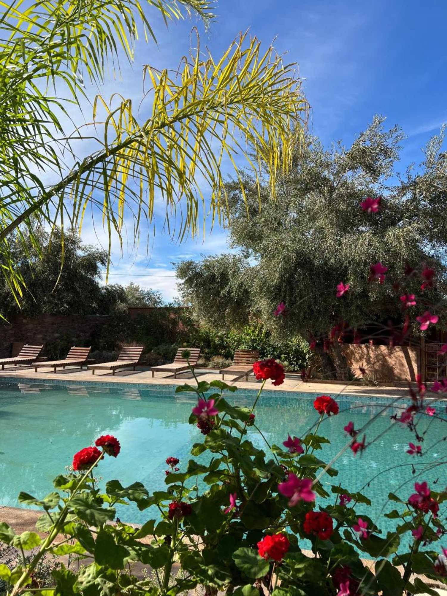 Gift card for Ecolodge Dar Bouhouta