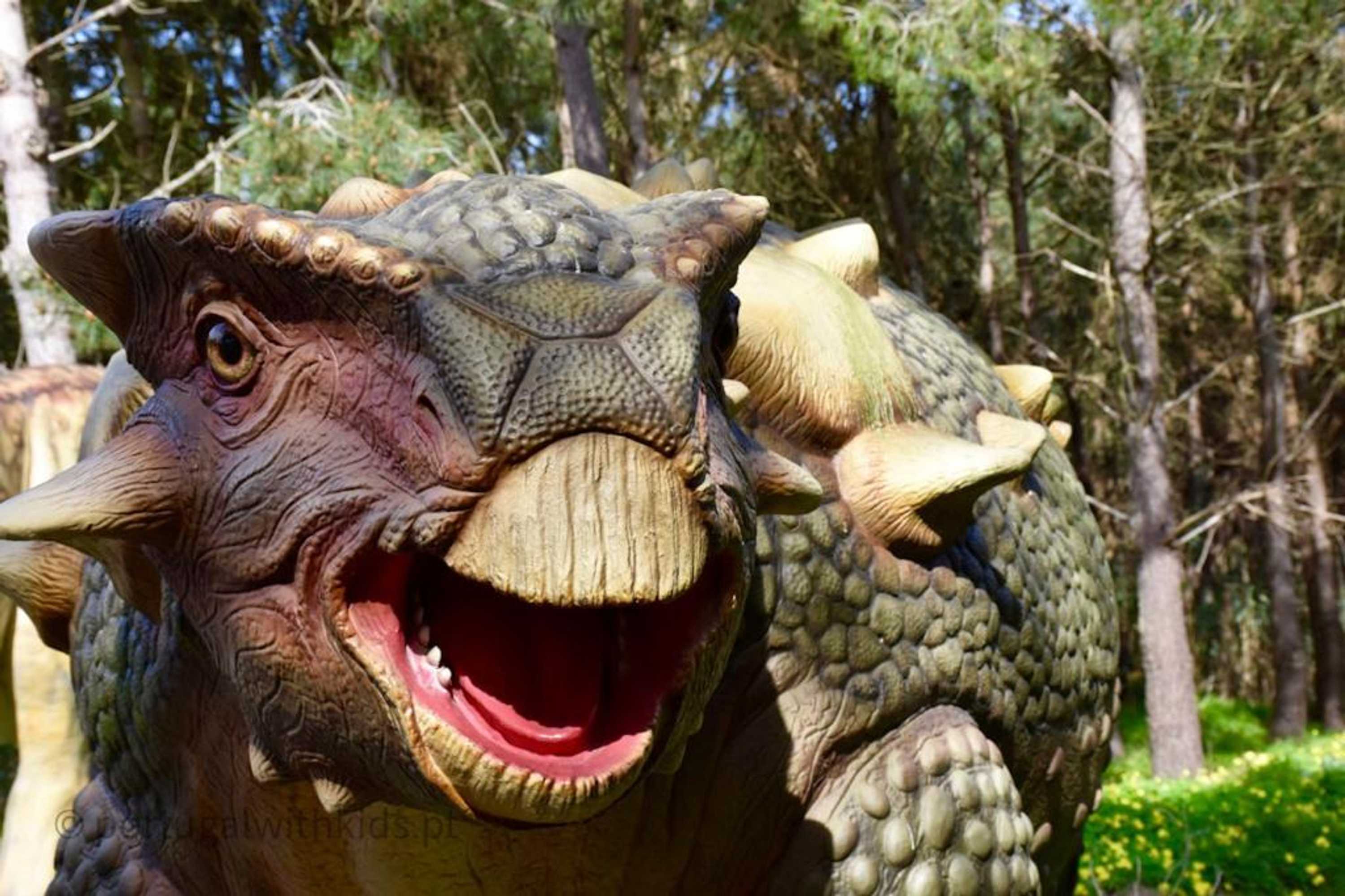 Gift card for Furnaka Village Ecosurf