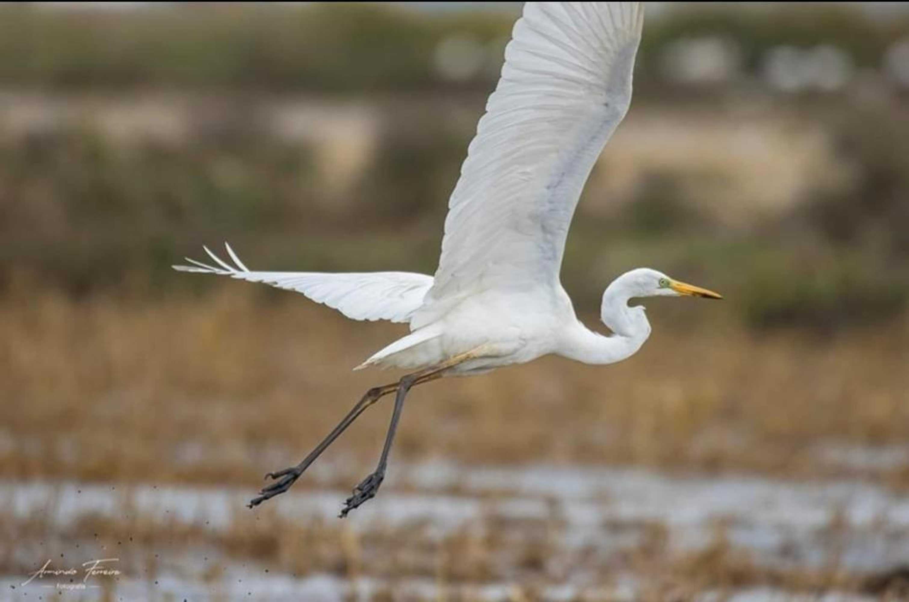 Gift card for Hotel Paraiso