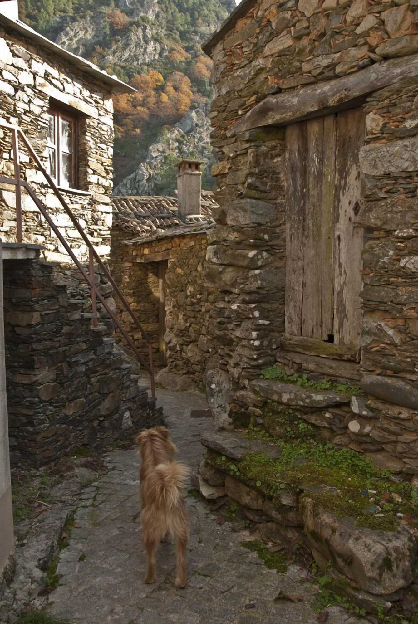 Gift card for Casa do Neveiro