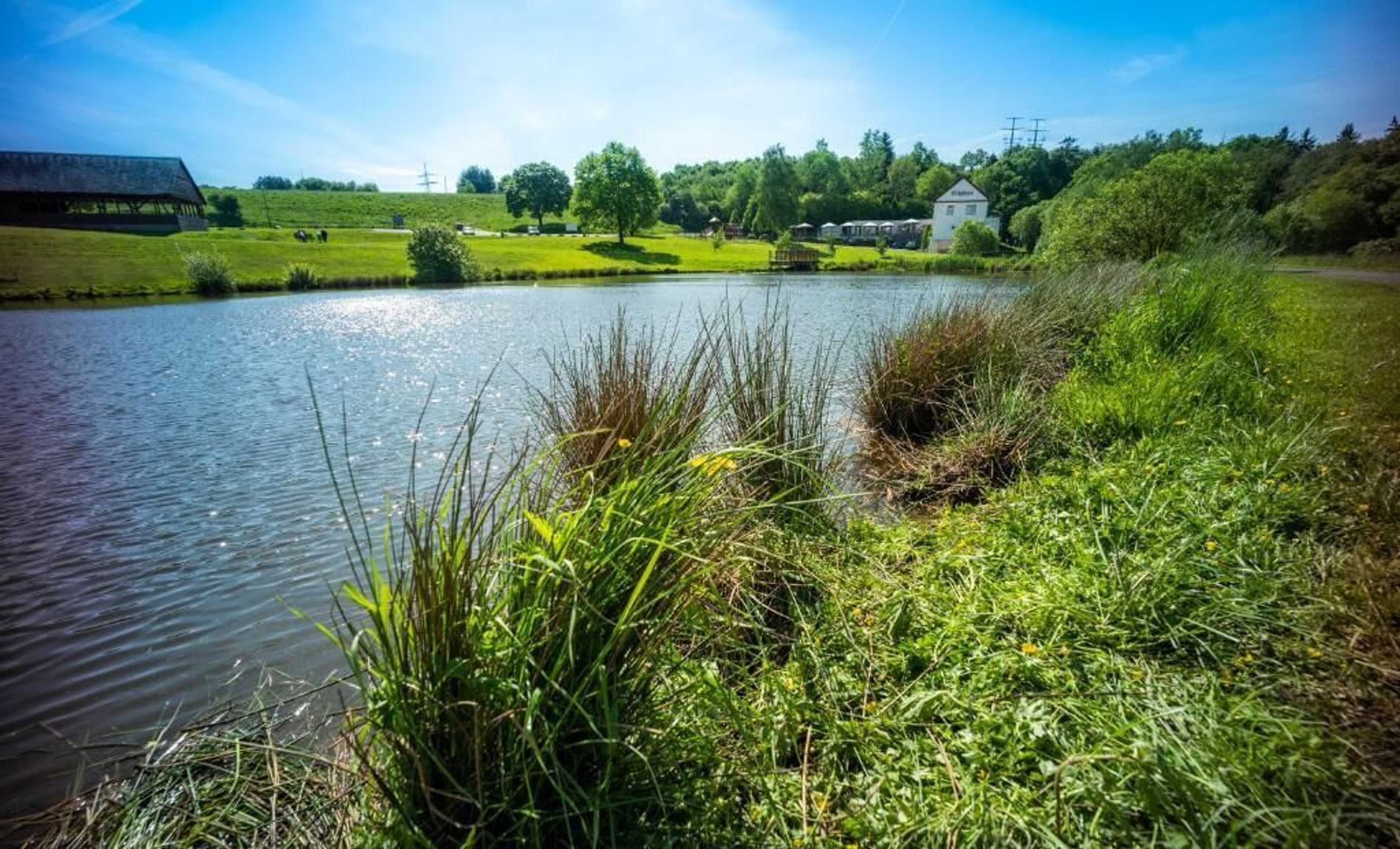 Gift card for Domäne am See