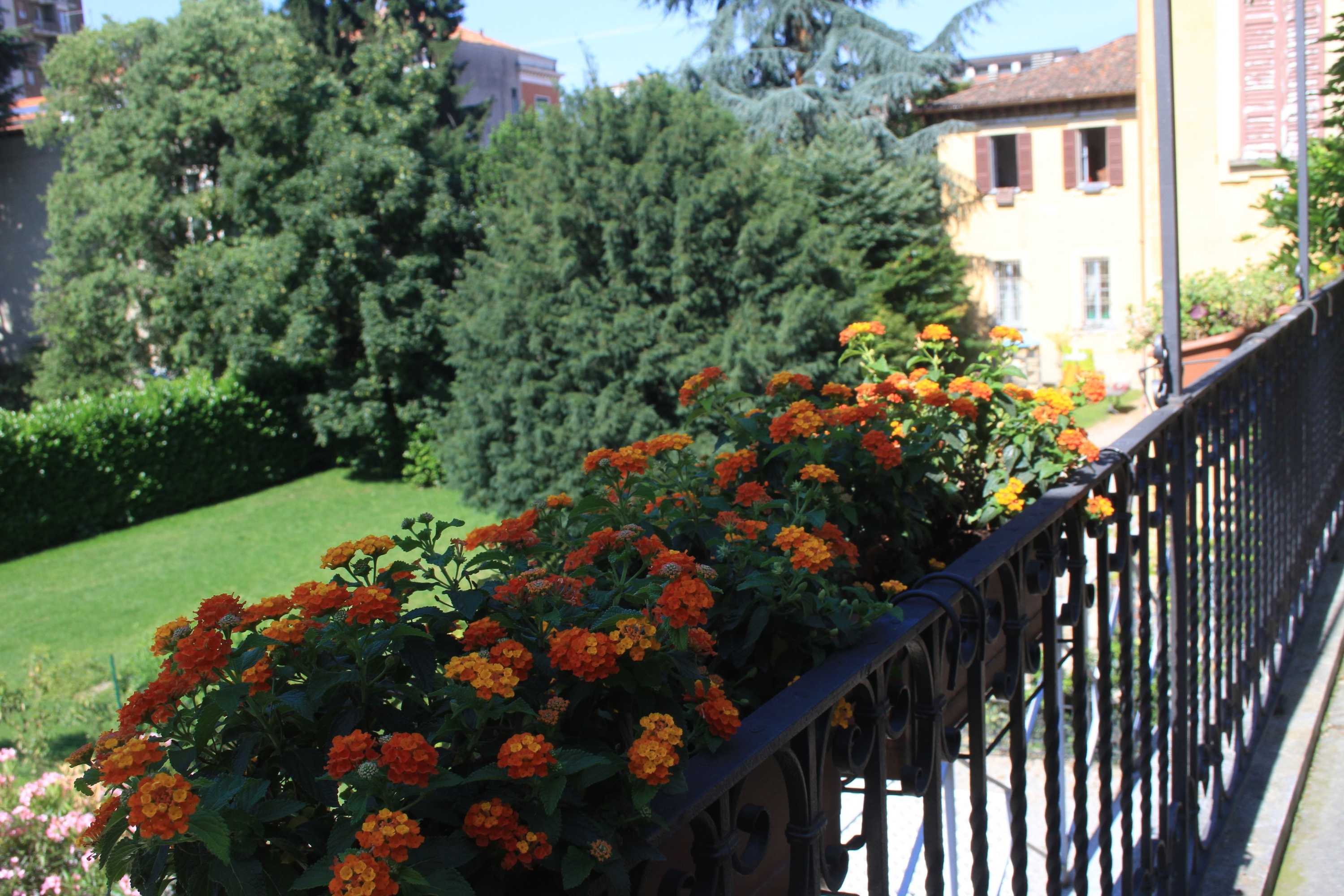 Gift card for Lisander B&b Suite And Terrace Gift card for Lisander B&b Suite And Terrace