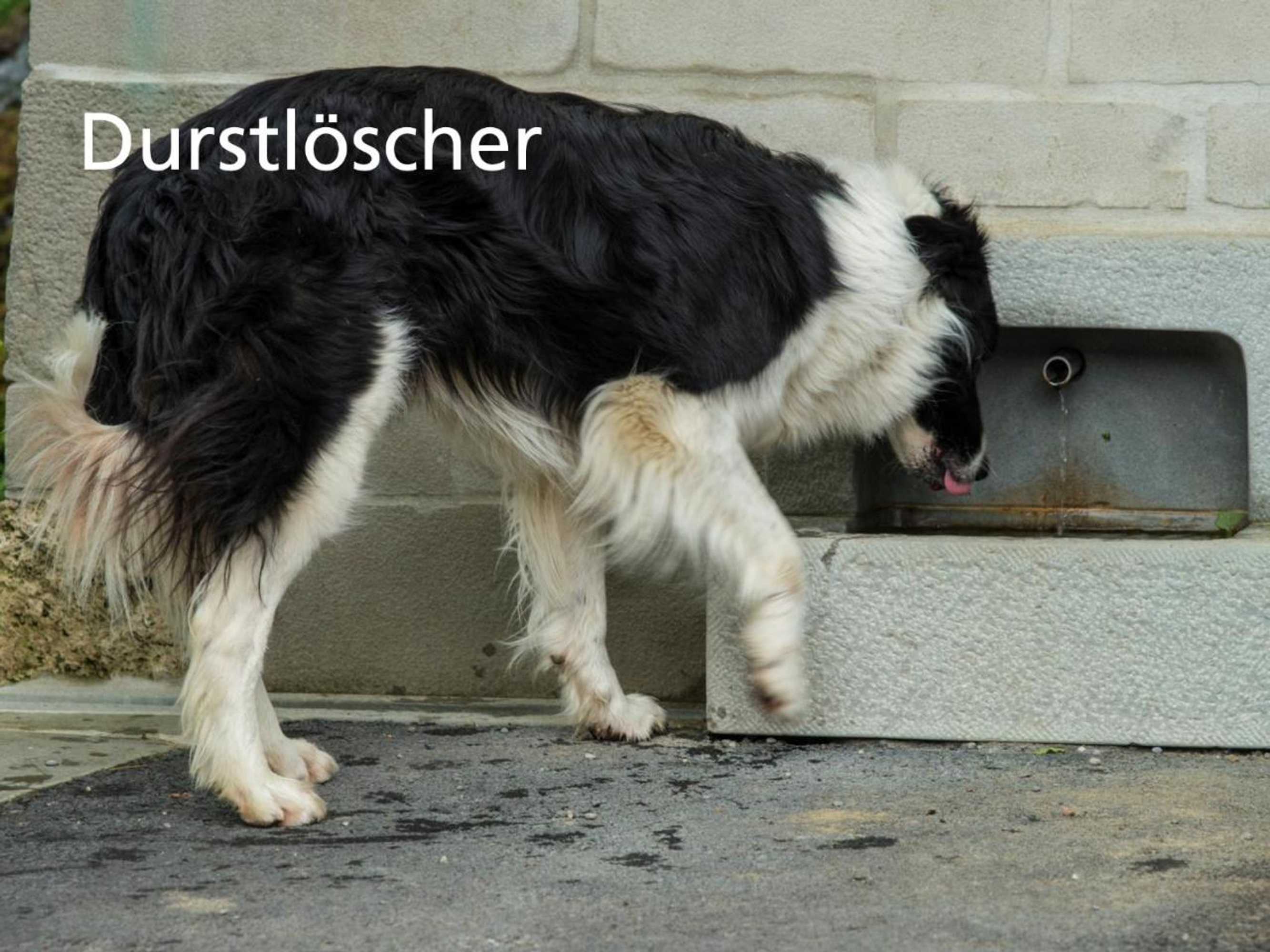 Gift card for Stiftung Kartause Ittingen