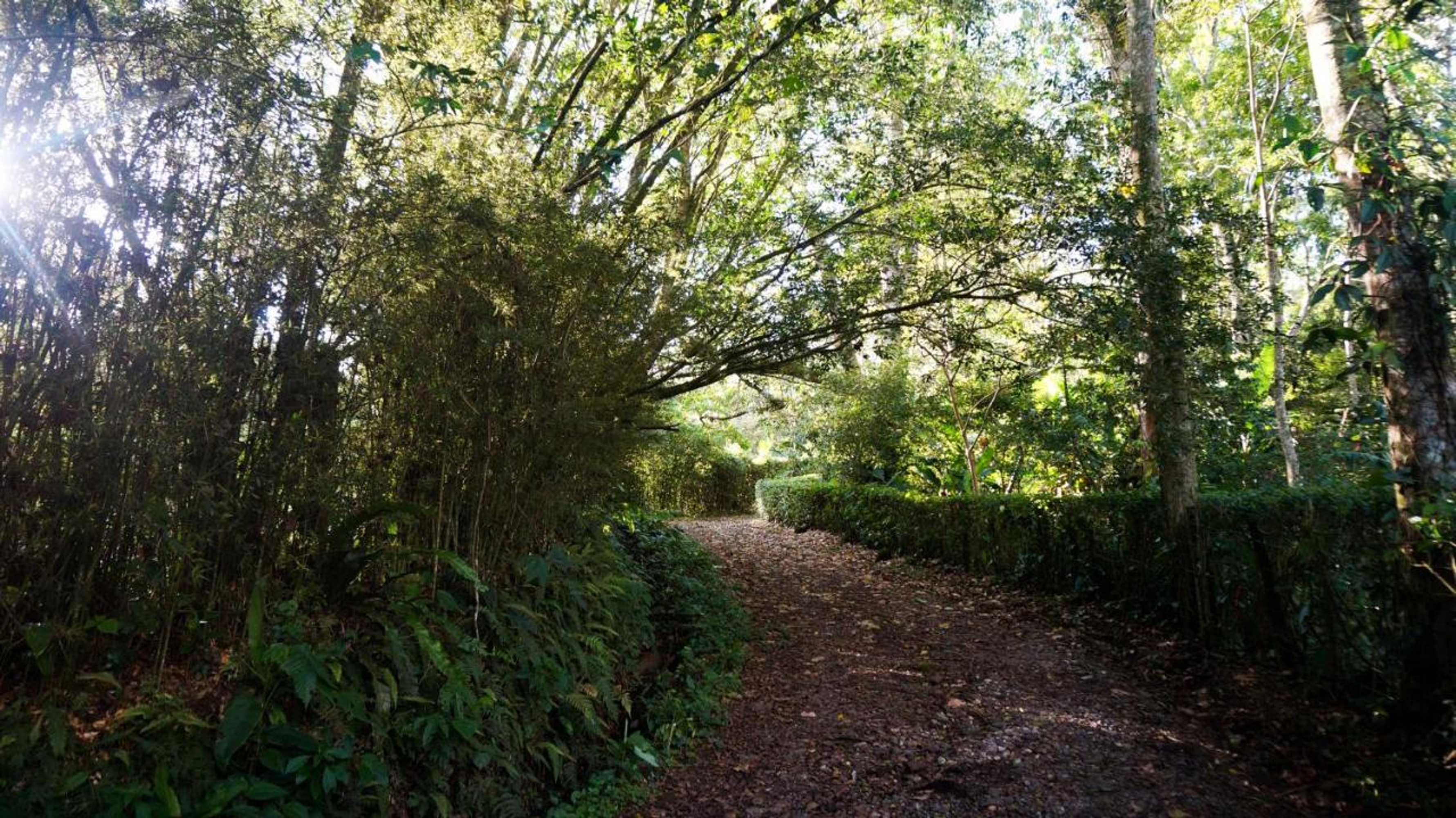 Gift card for Hospedaje La Naciente