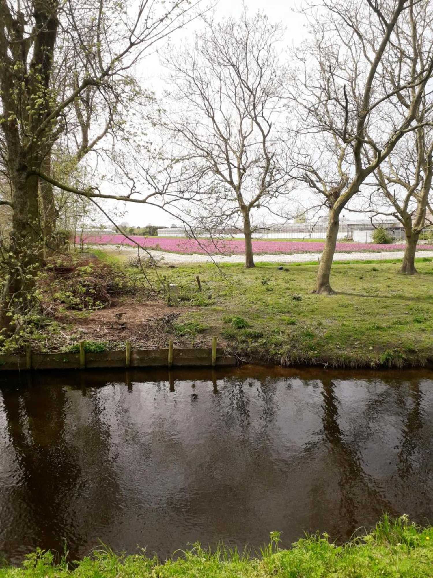 Gift card for B & B De Gouwe Plek