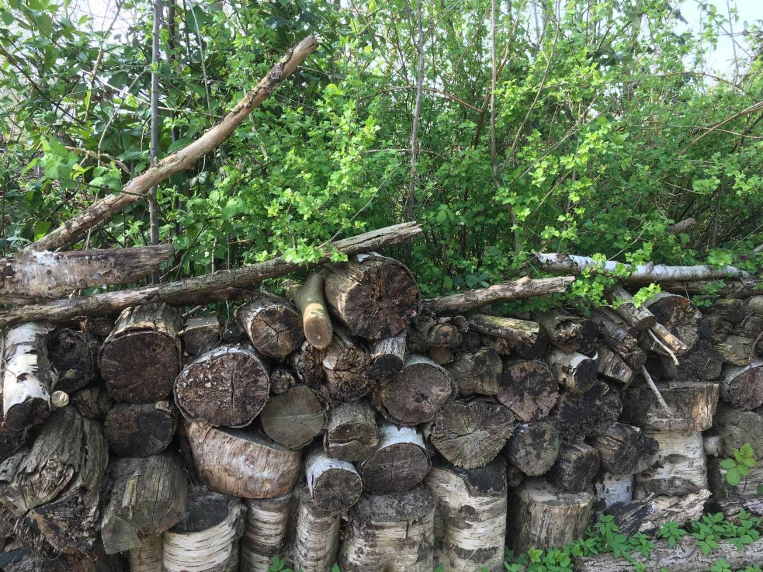 Gift card for B&b Bij Bedaf