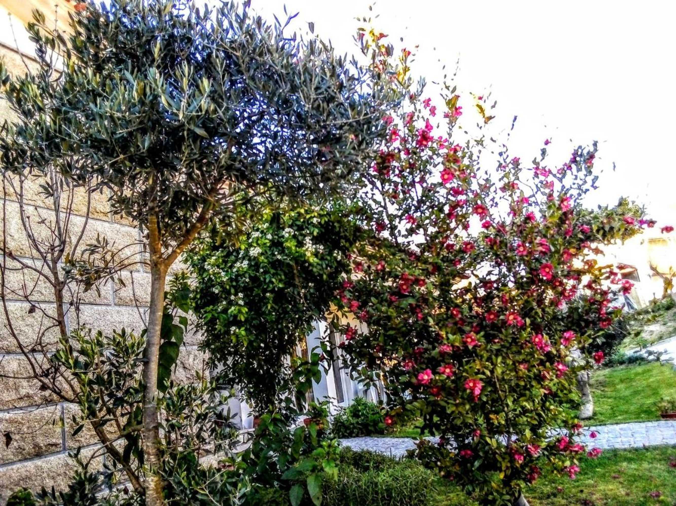 Gift card for Casa Vale do Rio Ovil