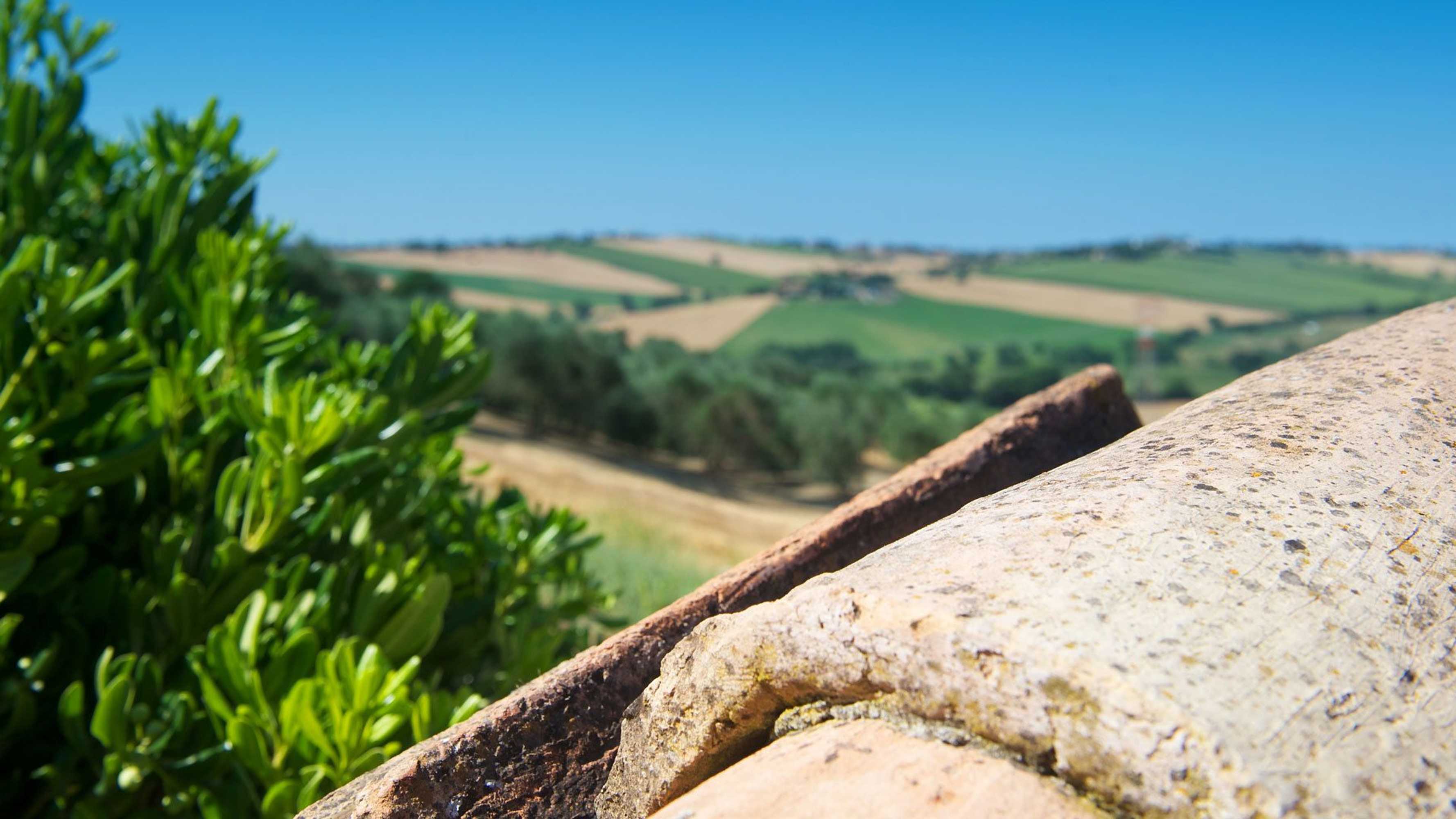 Gift card for Poggio Antico - Suites And Breakfast Gift card for Poggio Antico - Suites And Breakfast