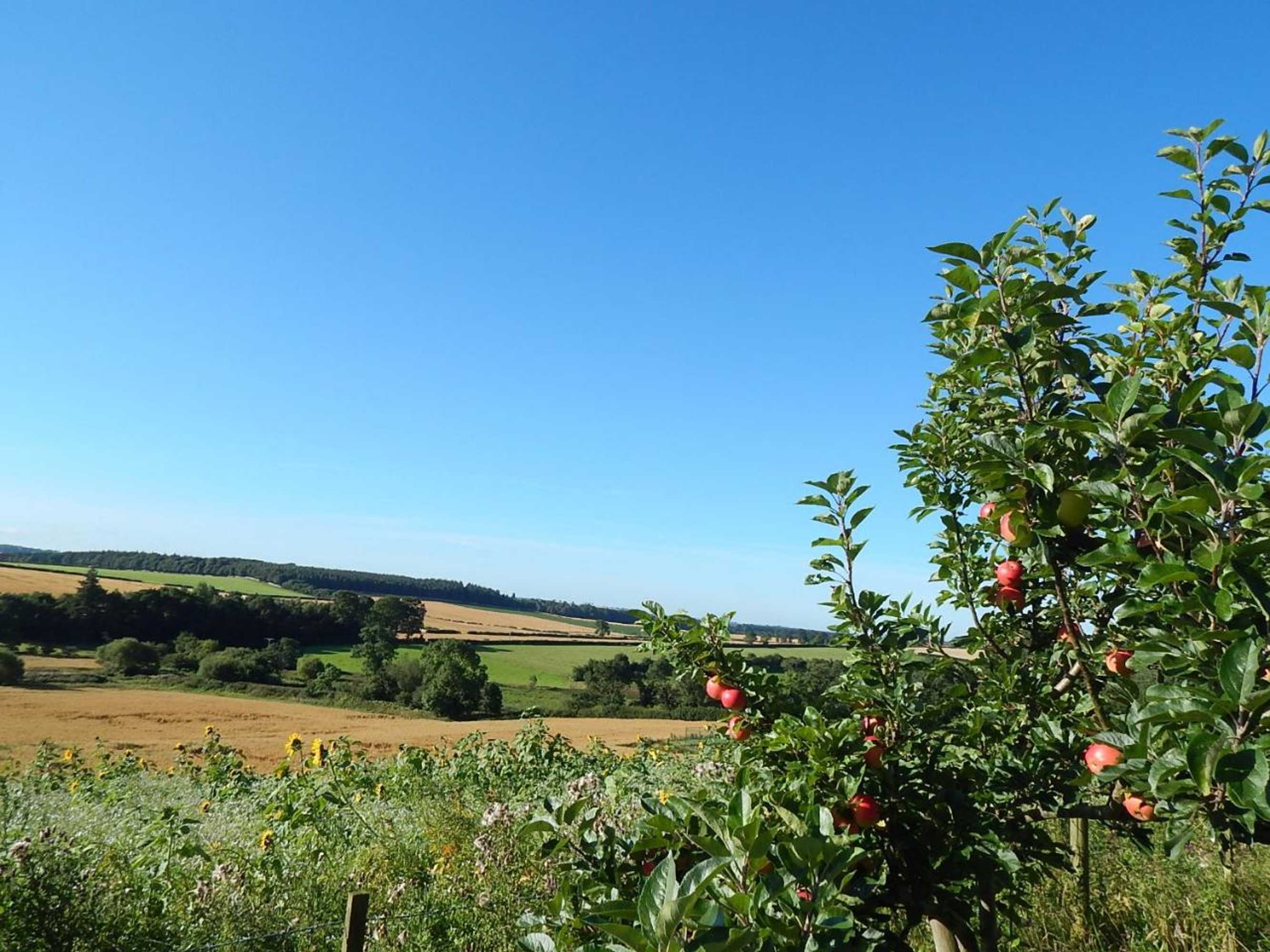 Gift card for Cocklekitty Cottage