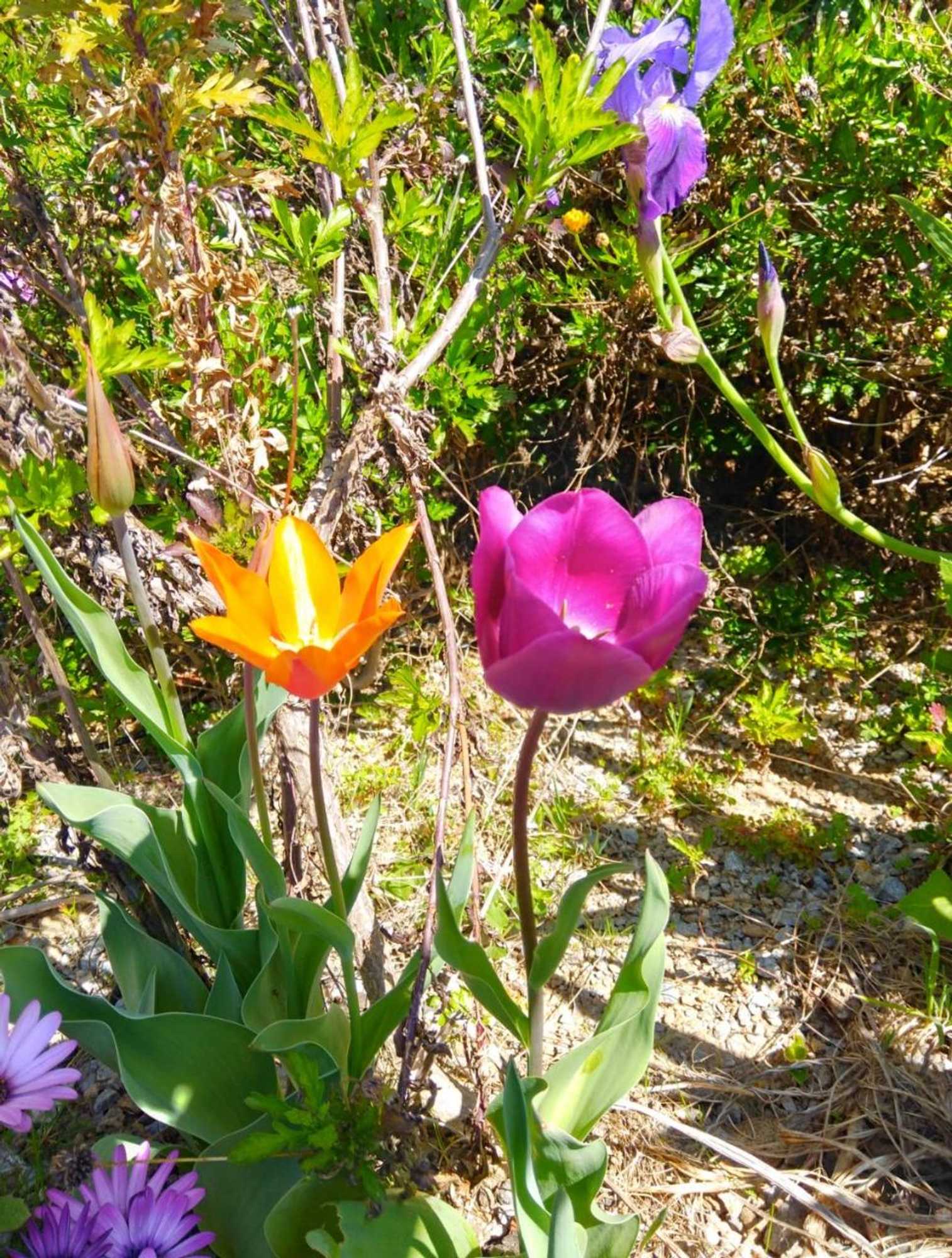 Gift card for Quinta do Sol