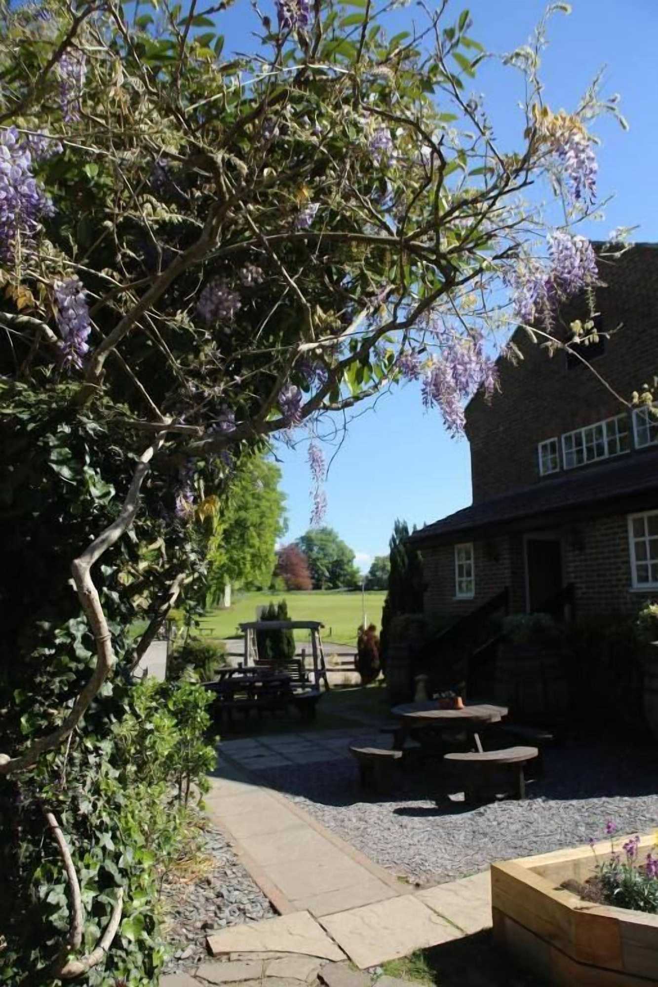 Gift card for The Red Lion & Cellar Room, Betchworth