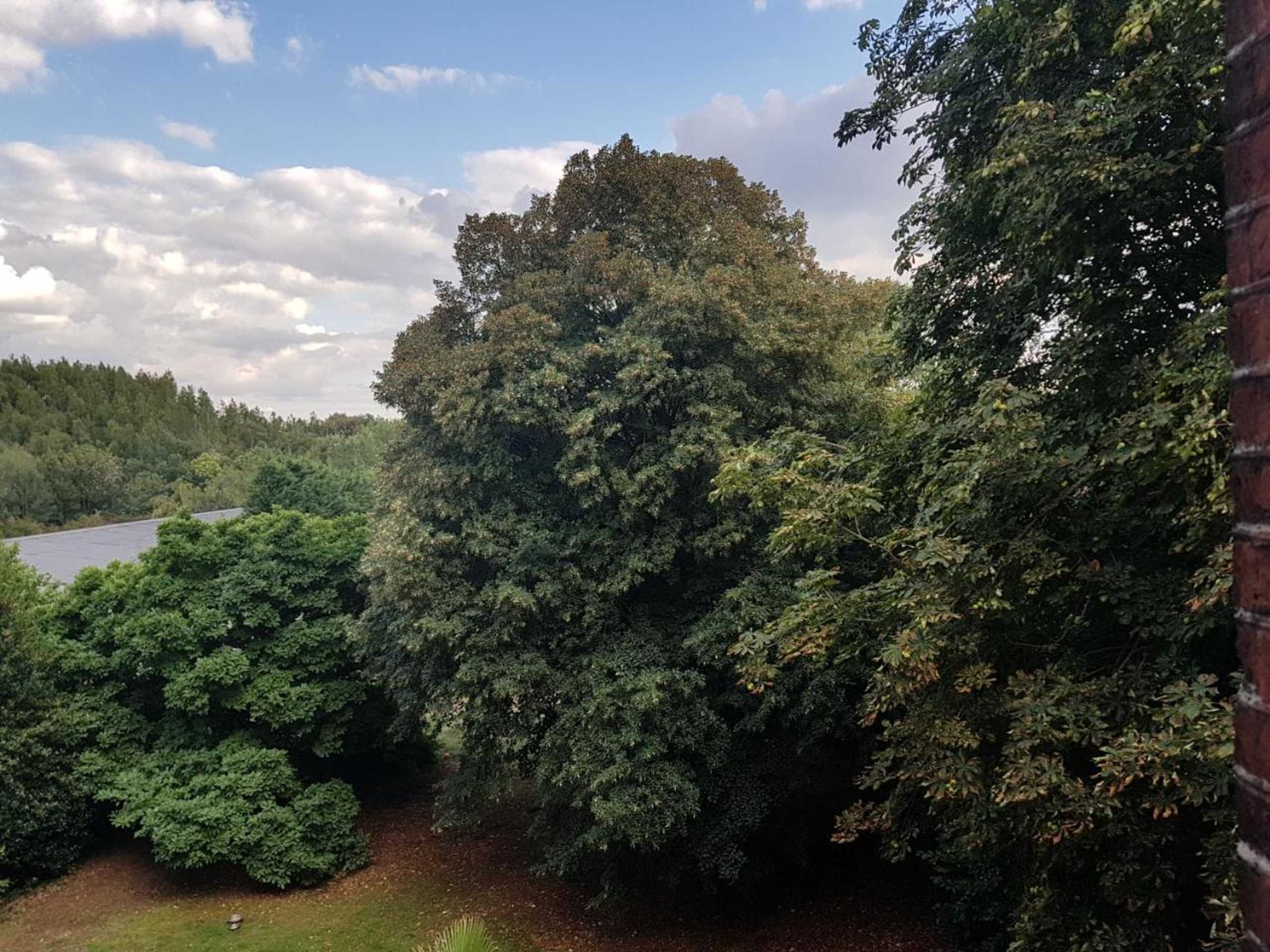 Gift card for Château Lambert Moulinsart Hotel, Shuttle Airport, Long Term Parking, Snooker, Large Terrasse, Dinner, Breakfast Gift card for Château Lambert Moulinsart Hotel, Shuttle Airport, Long Term Parking, Snooker, Large Terrasse, Dinner, Breakfast