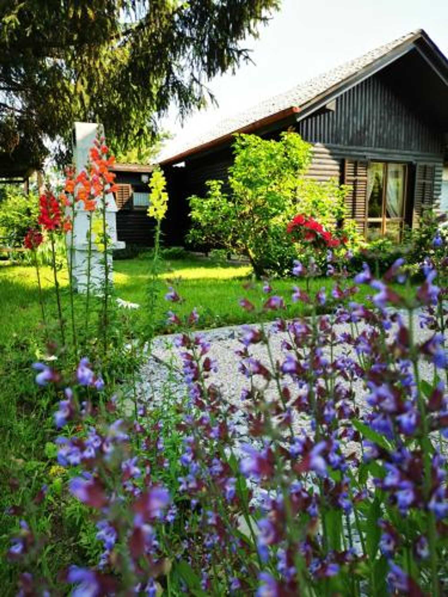 Gift card for Merikotka - a Cozy Wooden Cottage, Slovenia Gift card for Merikotka - a Cozy Wooden Cottage, Slovenia