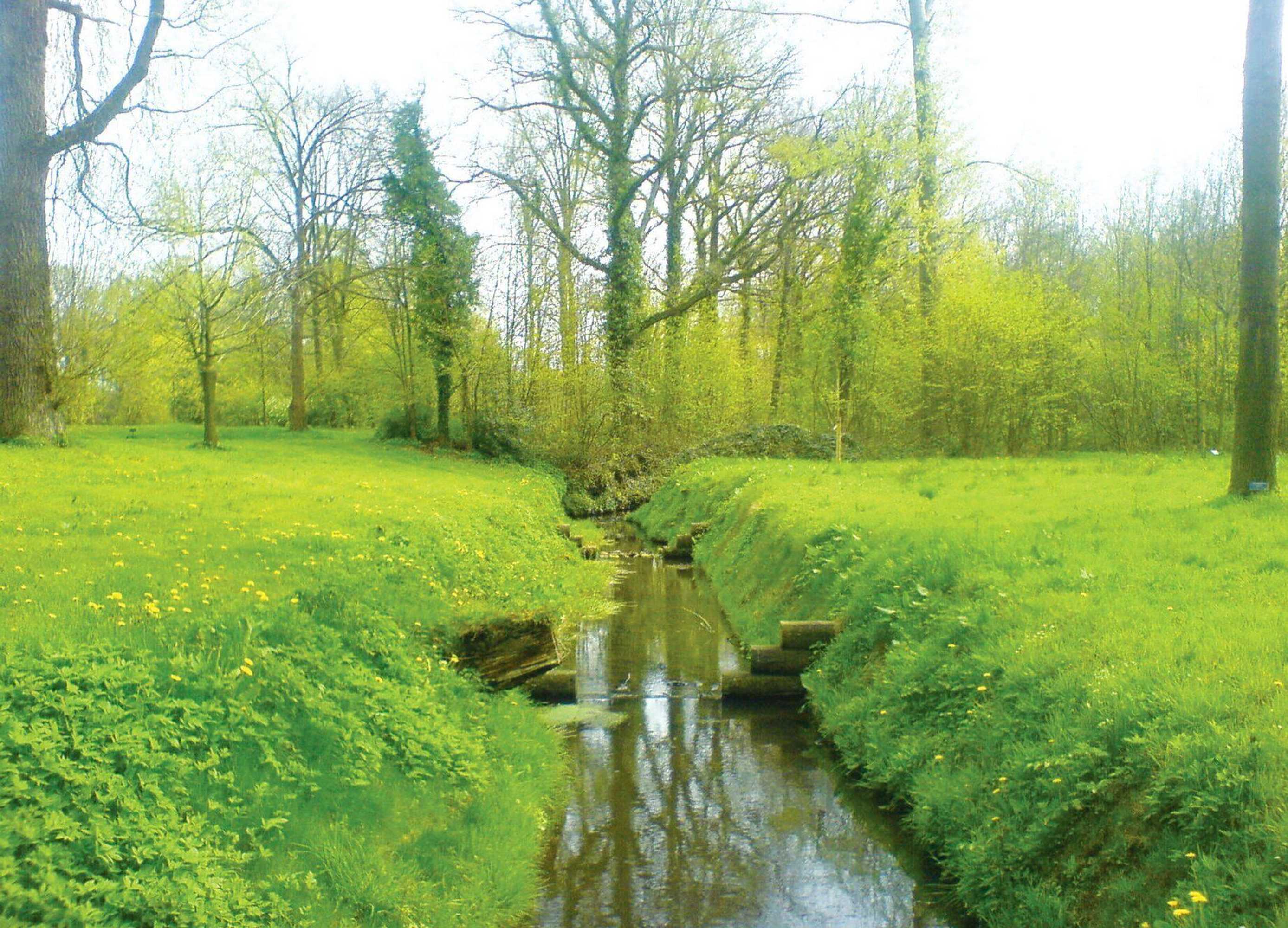 Gift card for Hotel de Grote Zwaan