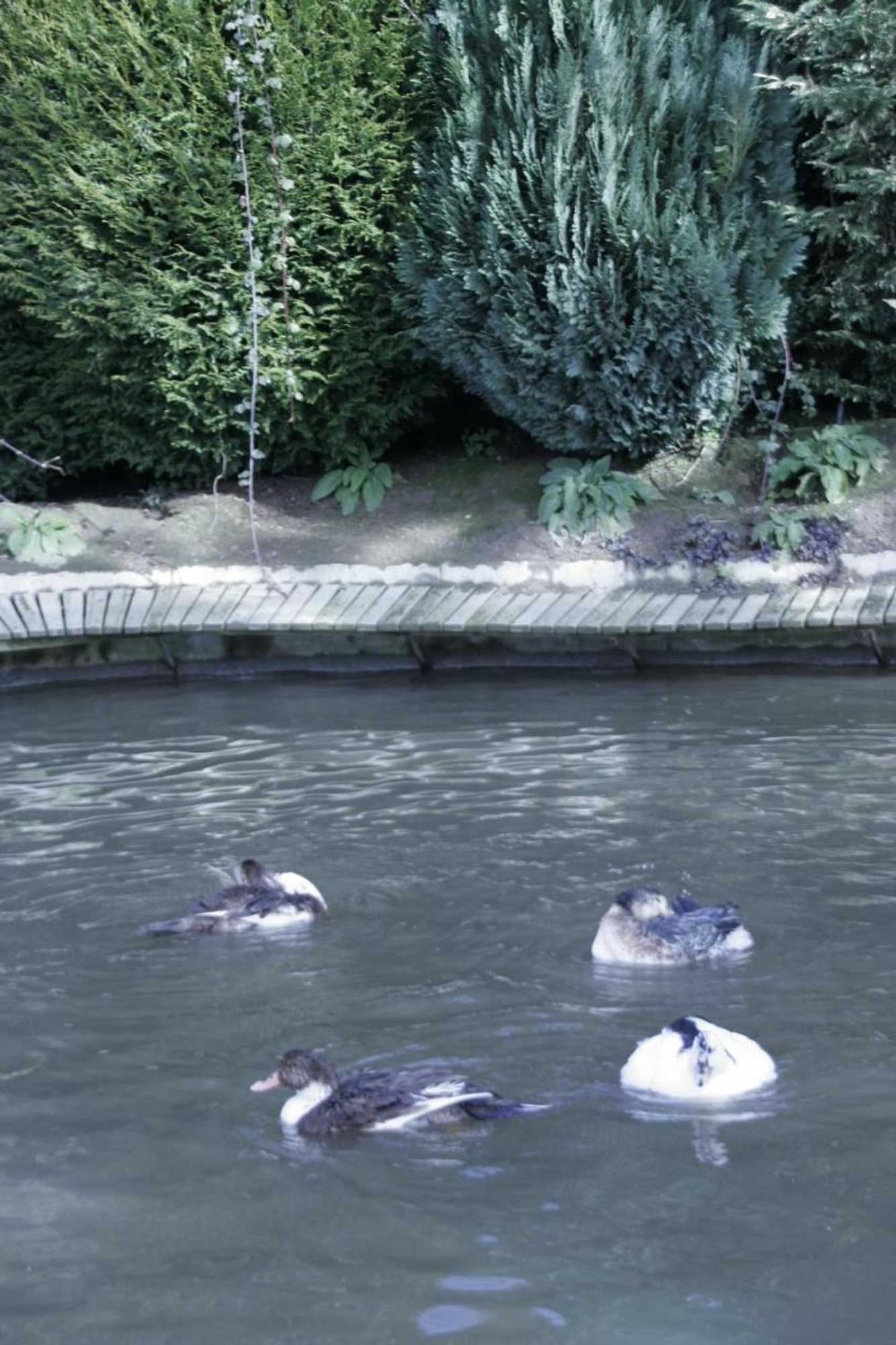 Gift card for Quinta do Mosteiro