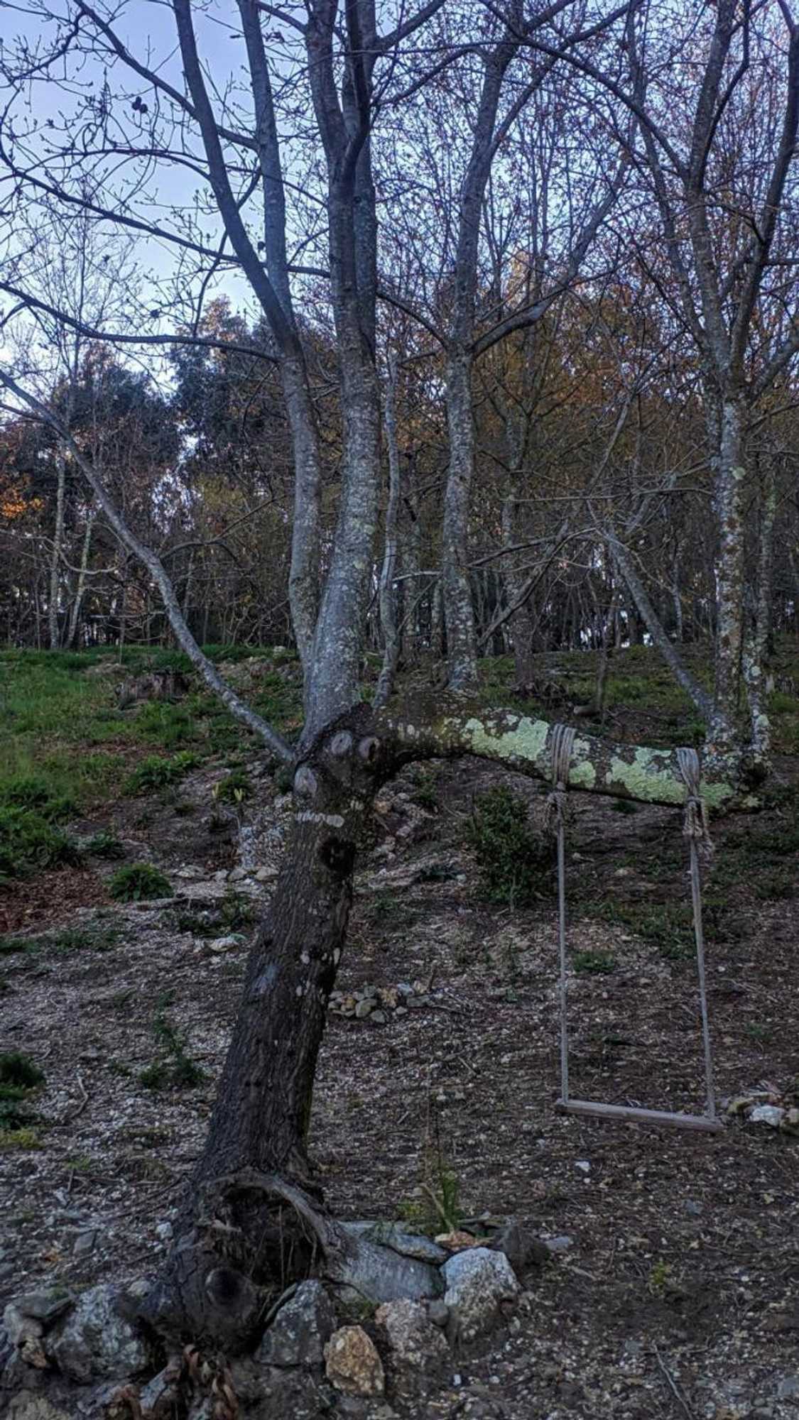 Gift card for O Aconchego Das Raízes Gift card for O Aconchego Das Raízes