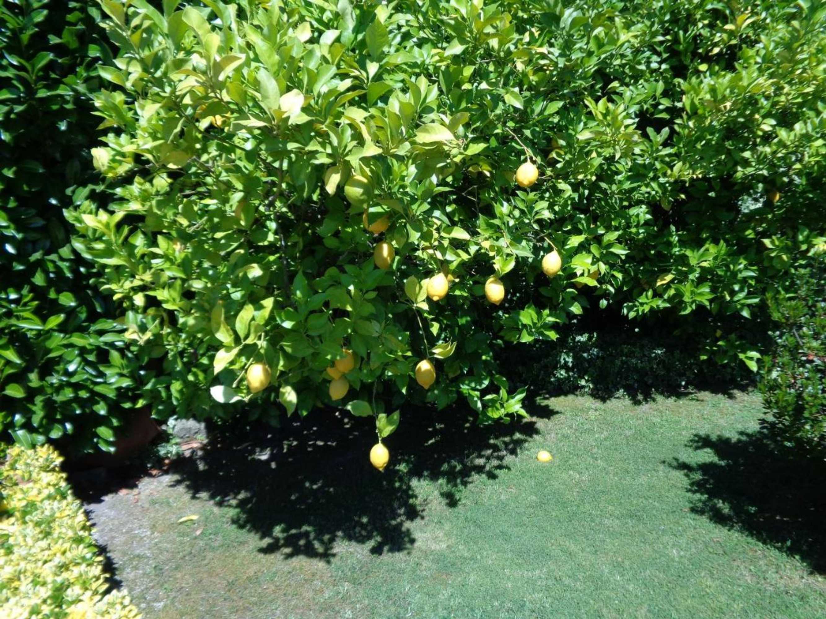 Gift card for Quinta Do Alves