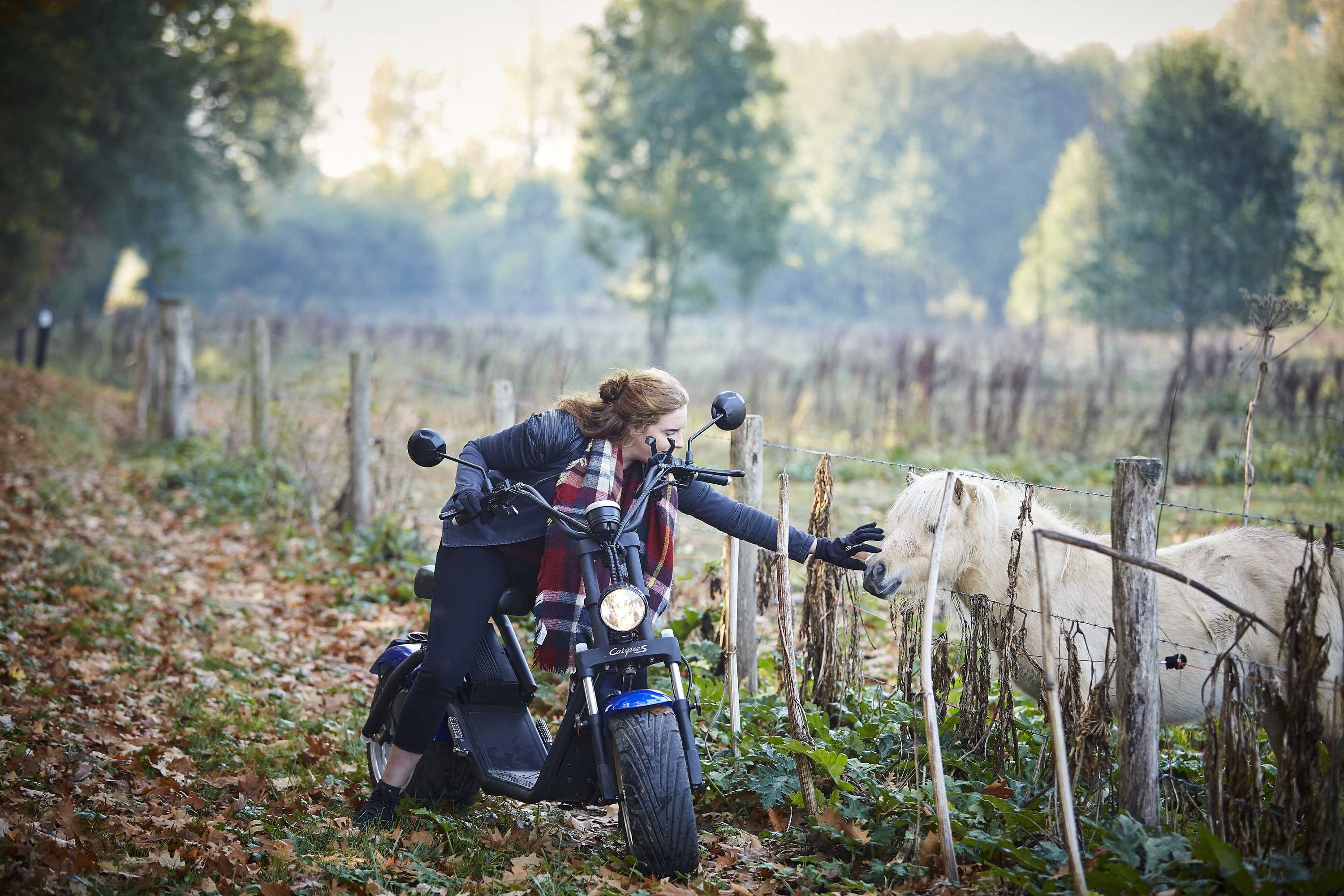 Gift card for Maashof