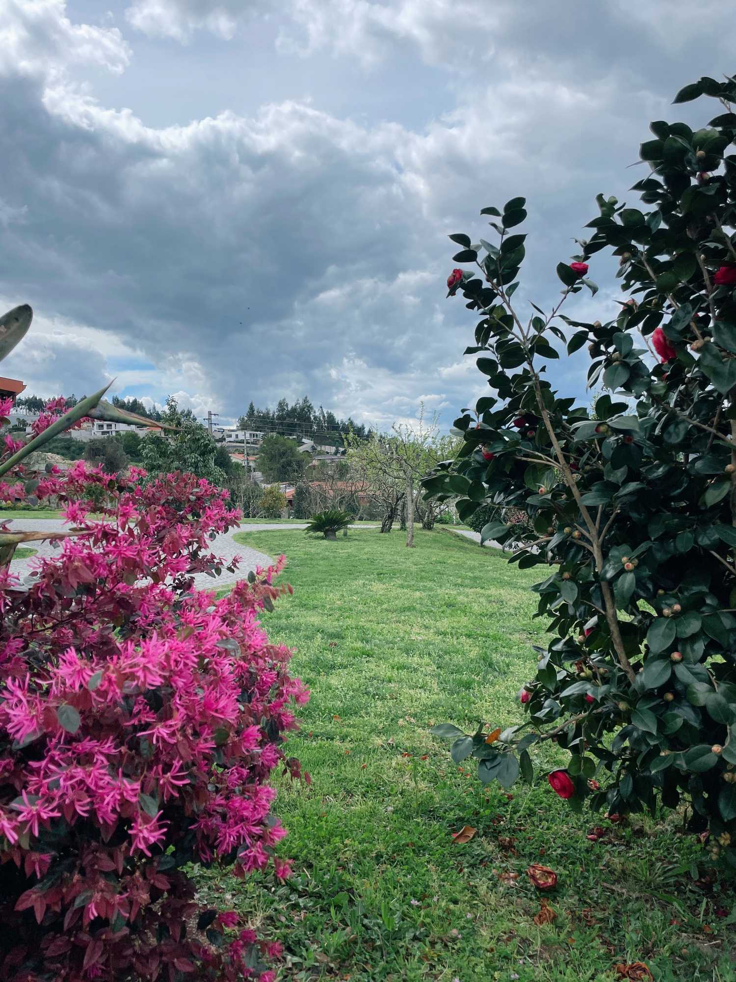 Gift card for Hotel Quinta da Tulha By Vimahotels