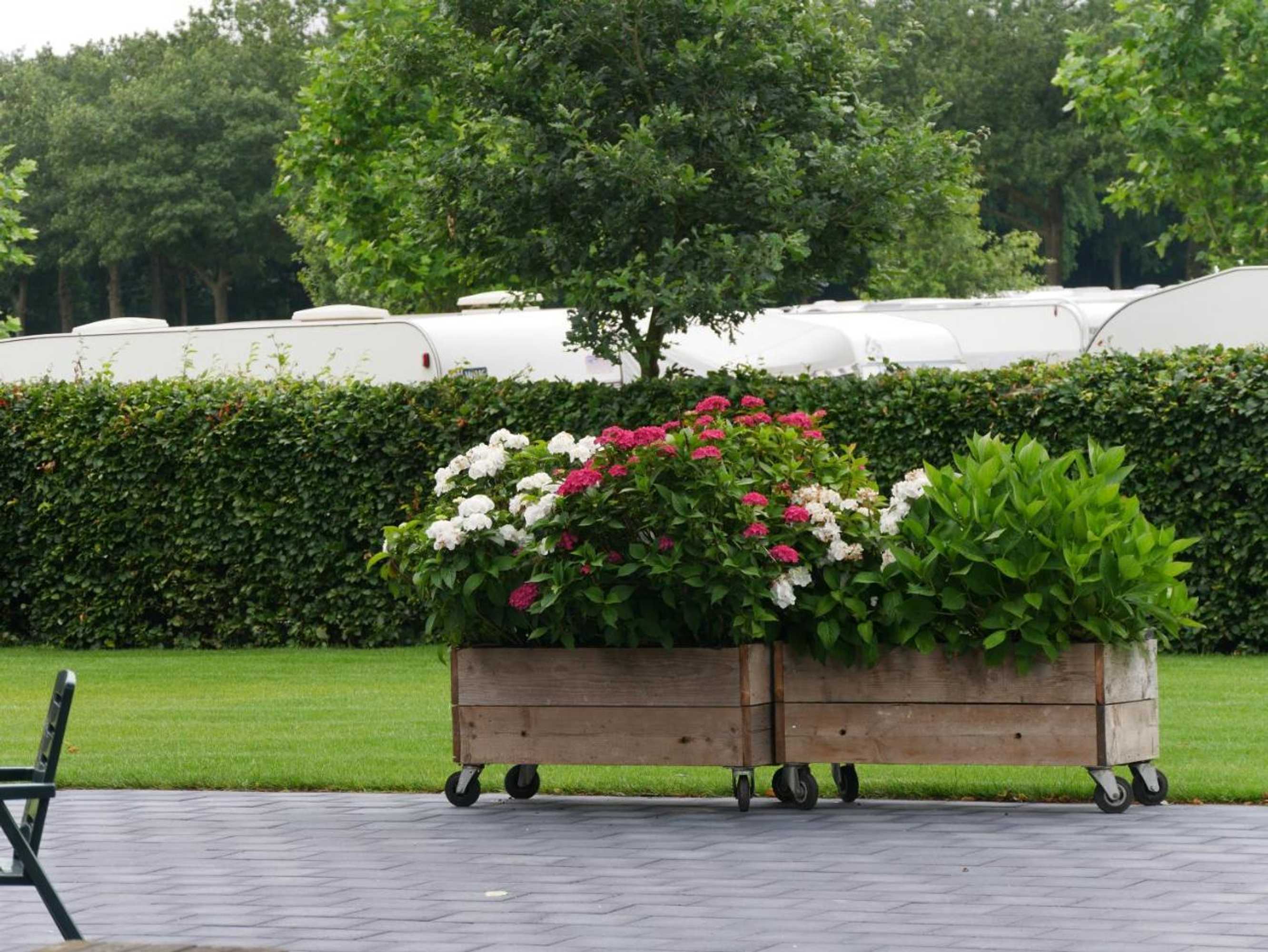 Gift card for B&b Bij de 3 Linden