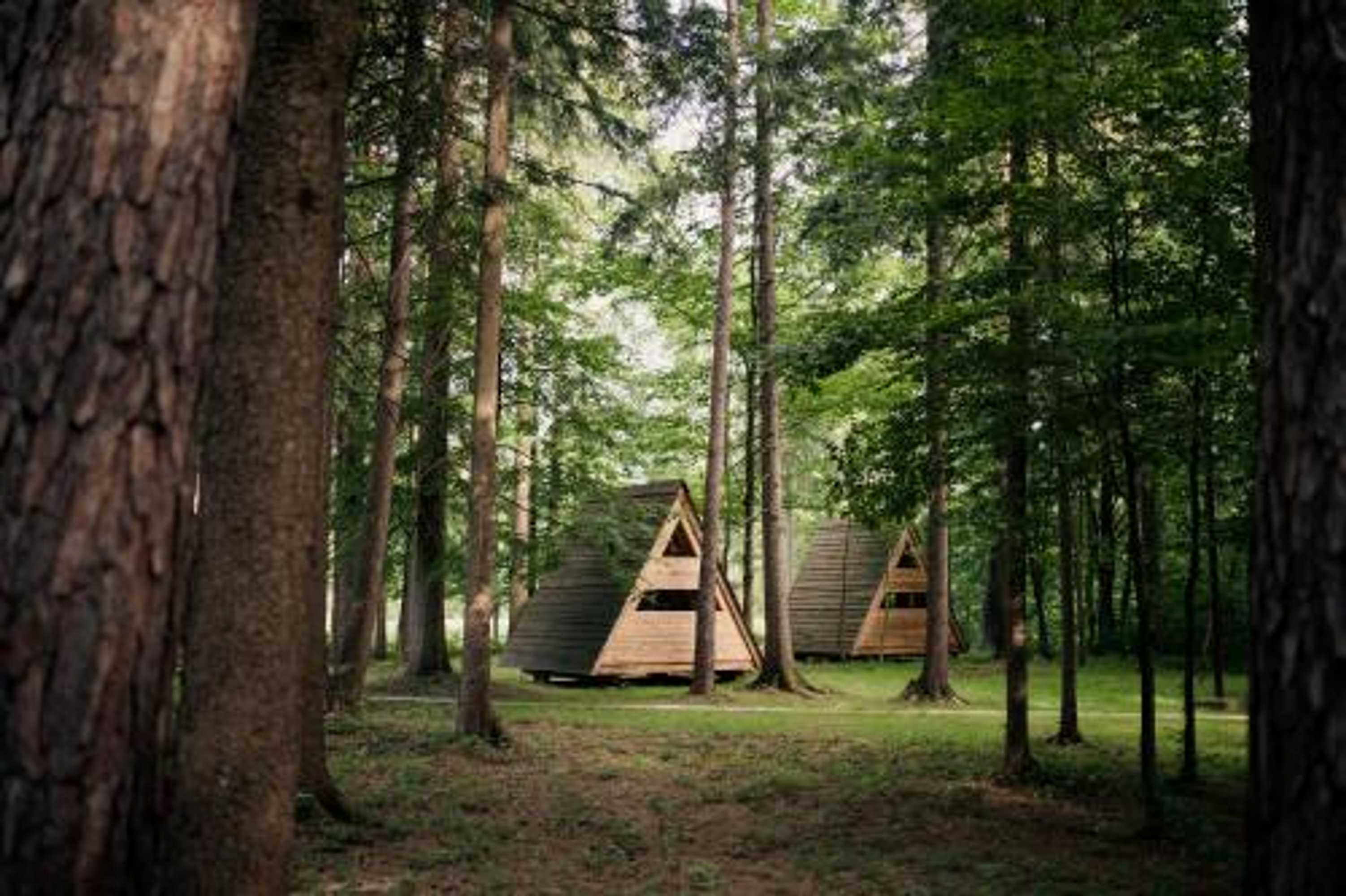 Gift card for Forest Camping Mozirje Gift card for Forest Camping Mozirje