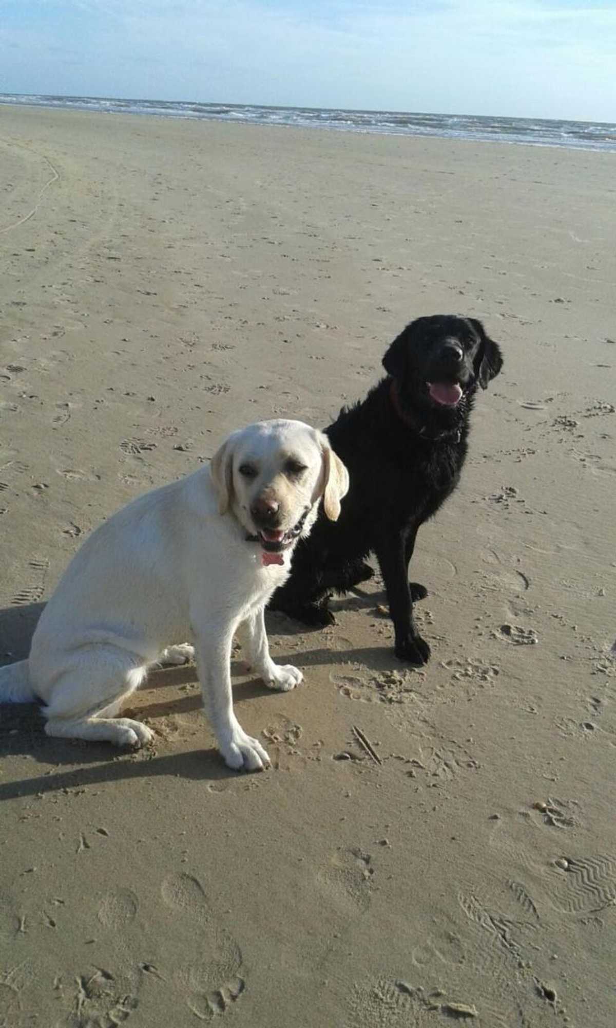 Gift card for B&b Be Our Guest