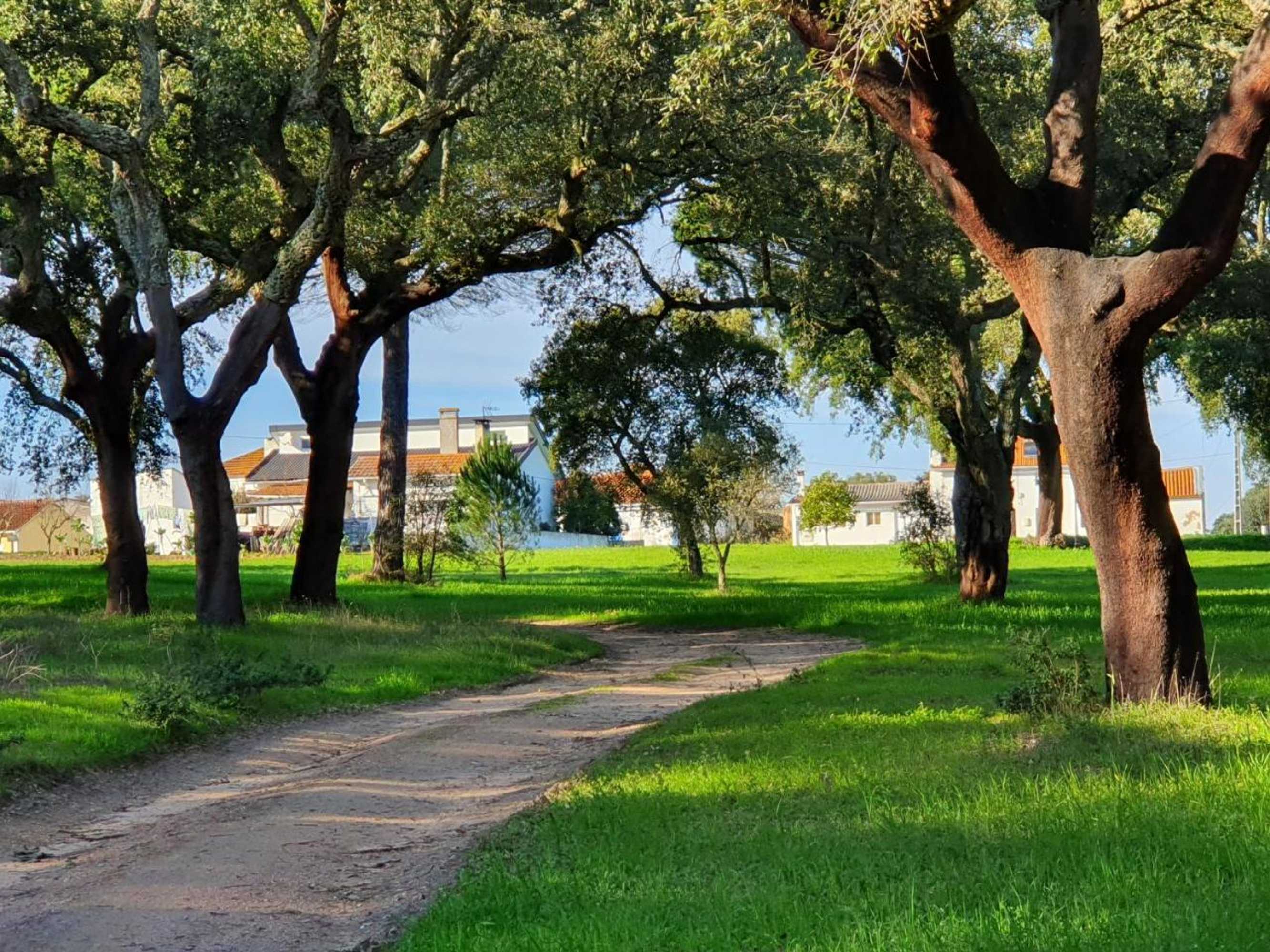 Gift card for Quinta da Bizelga Cottages