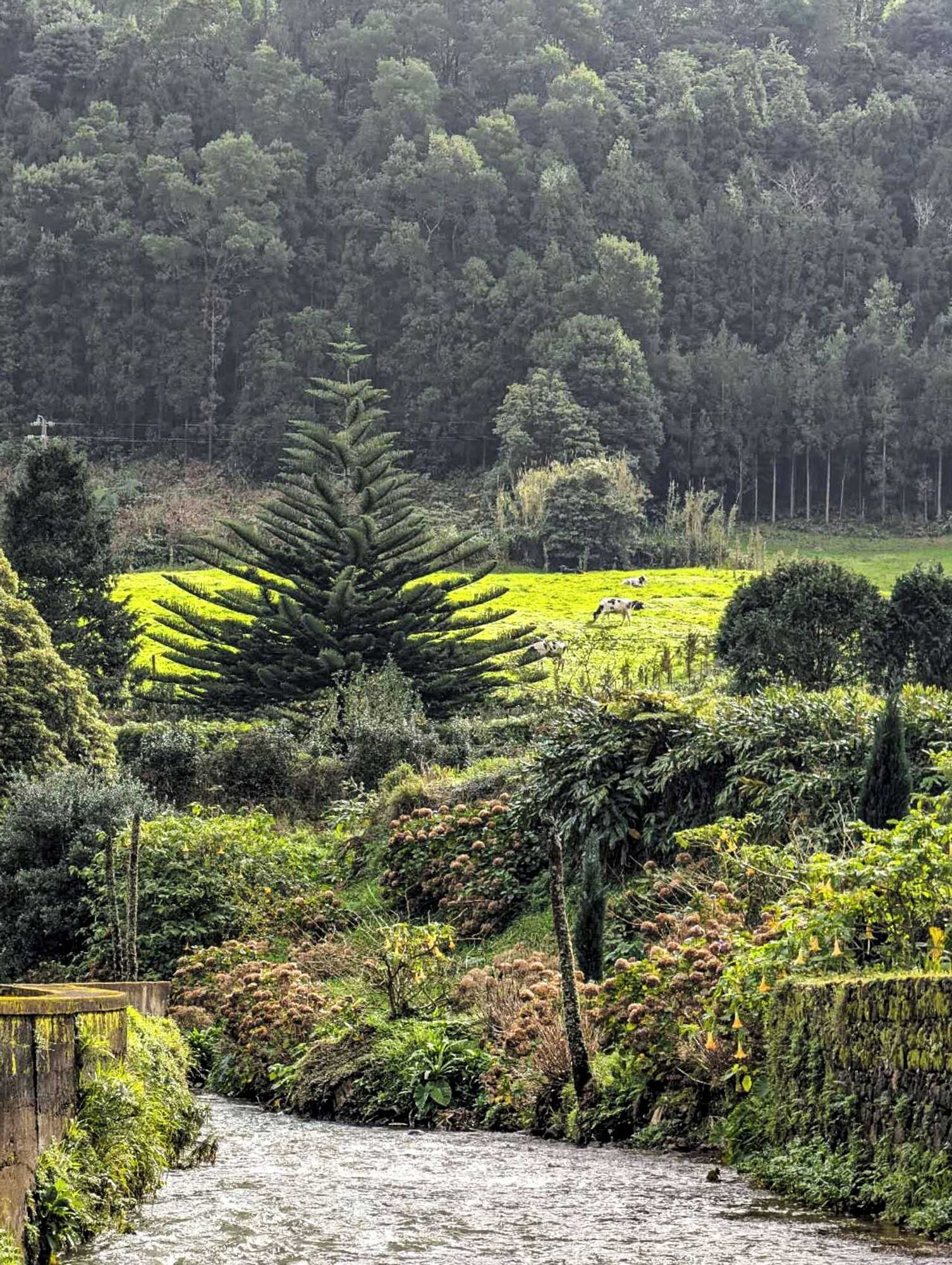 Gift card for Hotel Vale Verde Gift card for Hotel Vale Verde