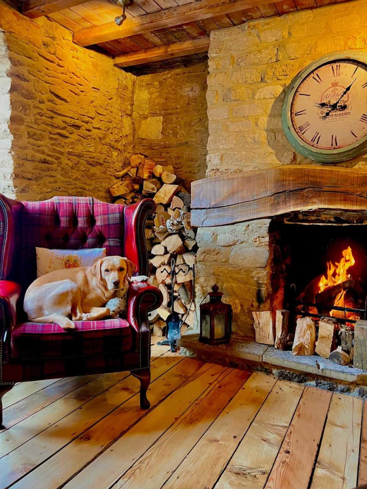 Gift card for Five Alls