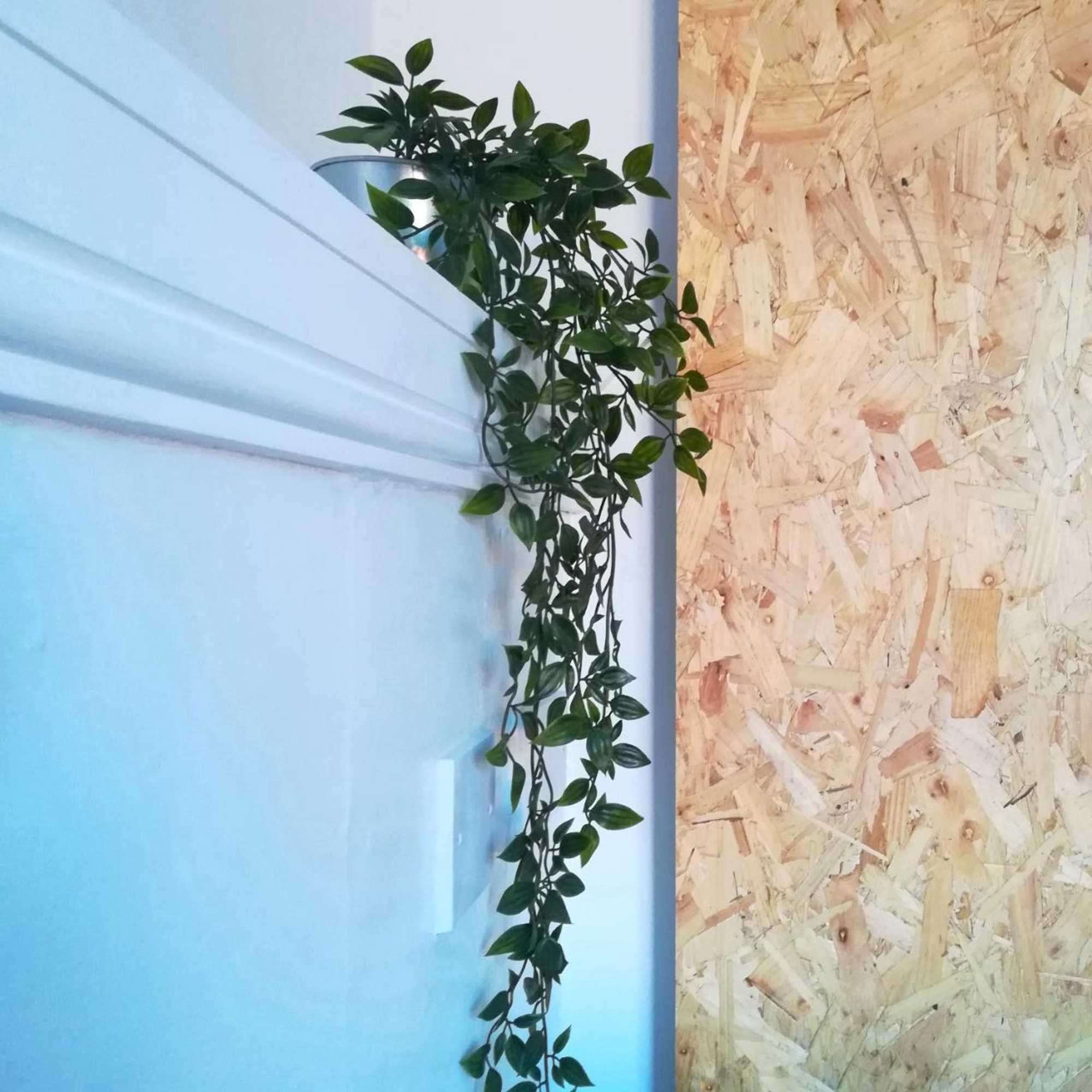 Gift card for The Blue Mantle