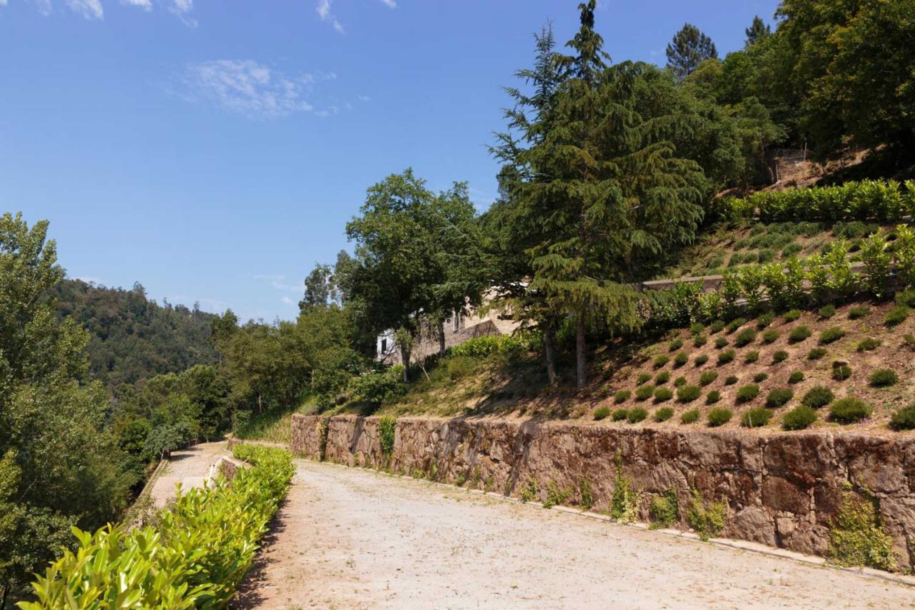 Gift card for Douro Green