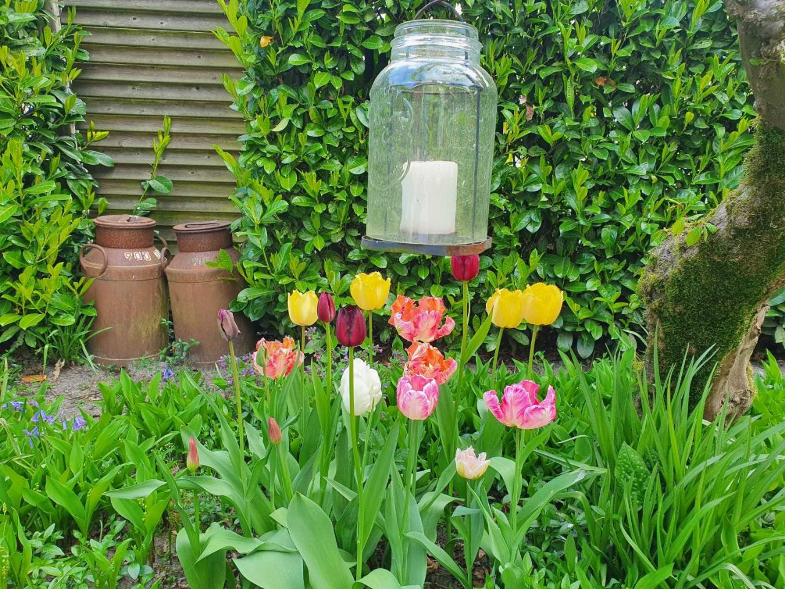 Gift card for B&b de Loeff