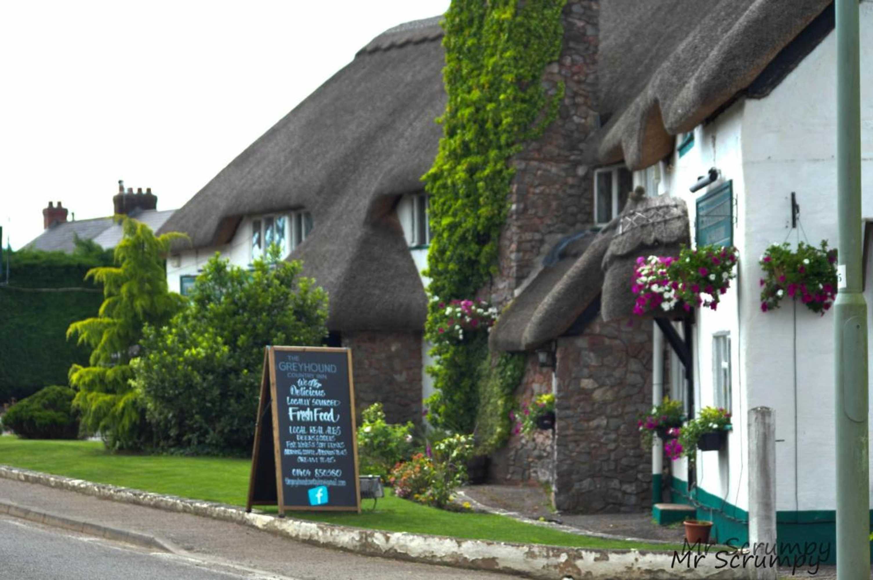 Gift card for Greyhound Country Inn