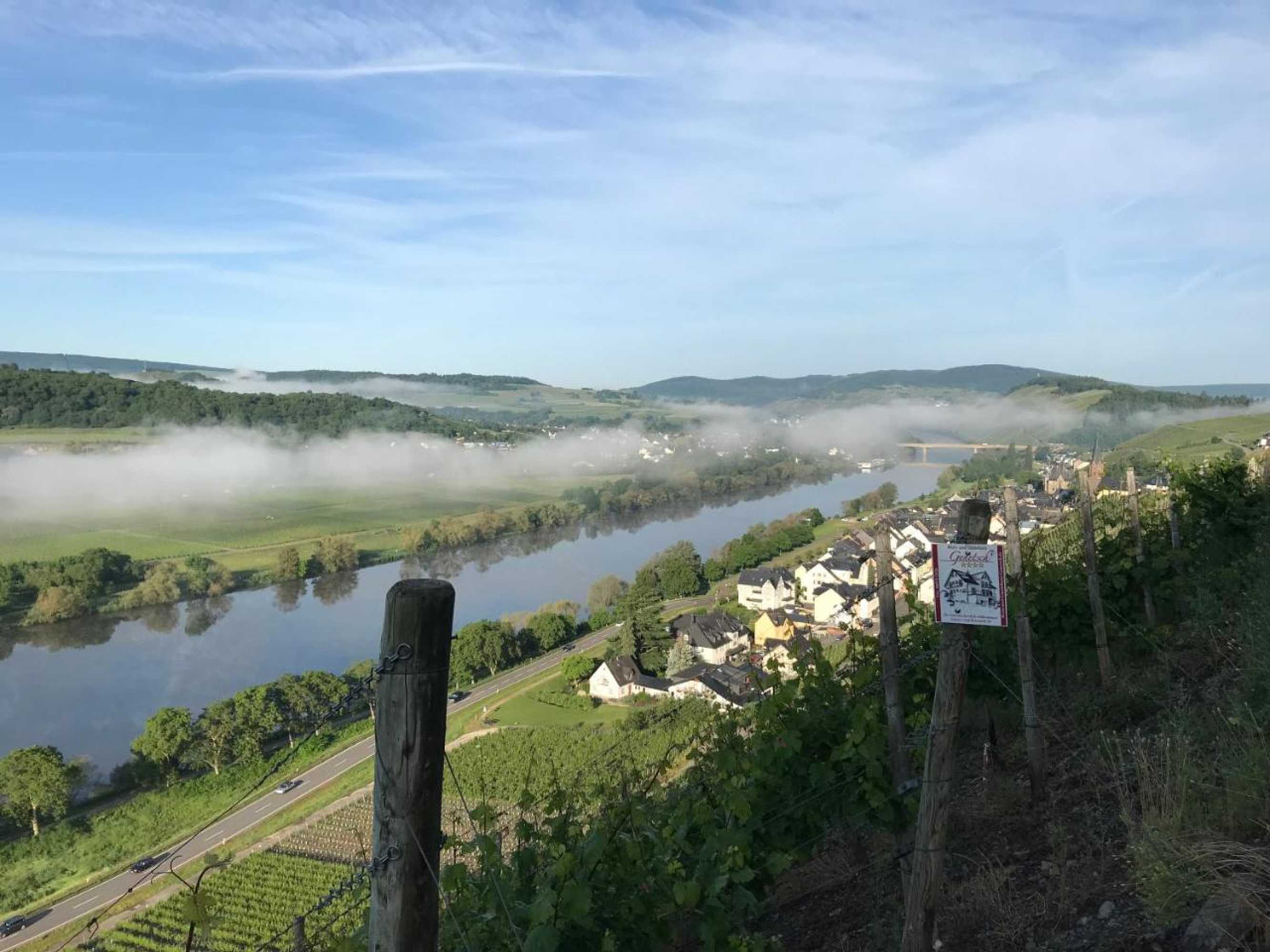 Gift card for Wein- Und Gaestehaus Genetsch