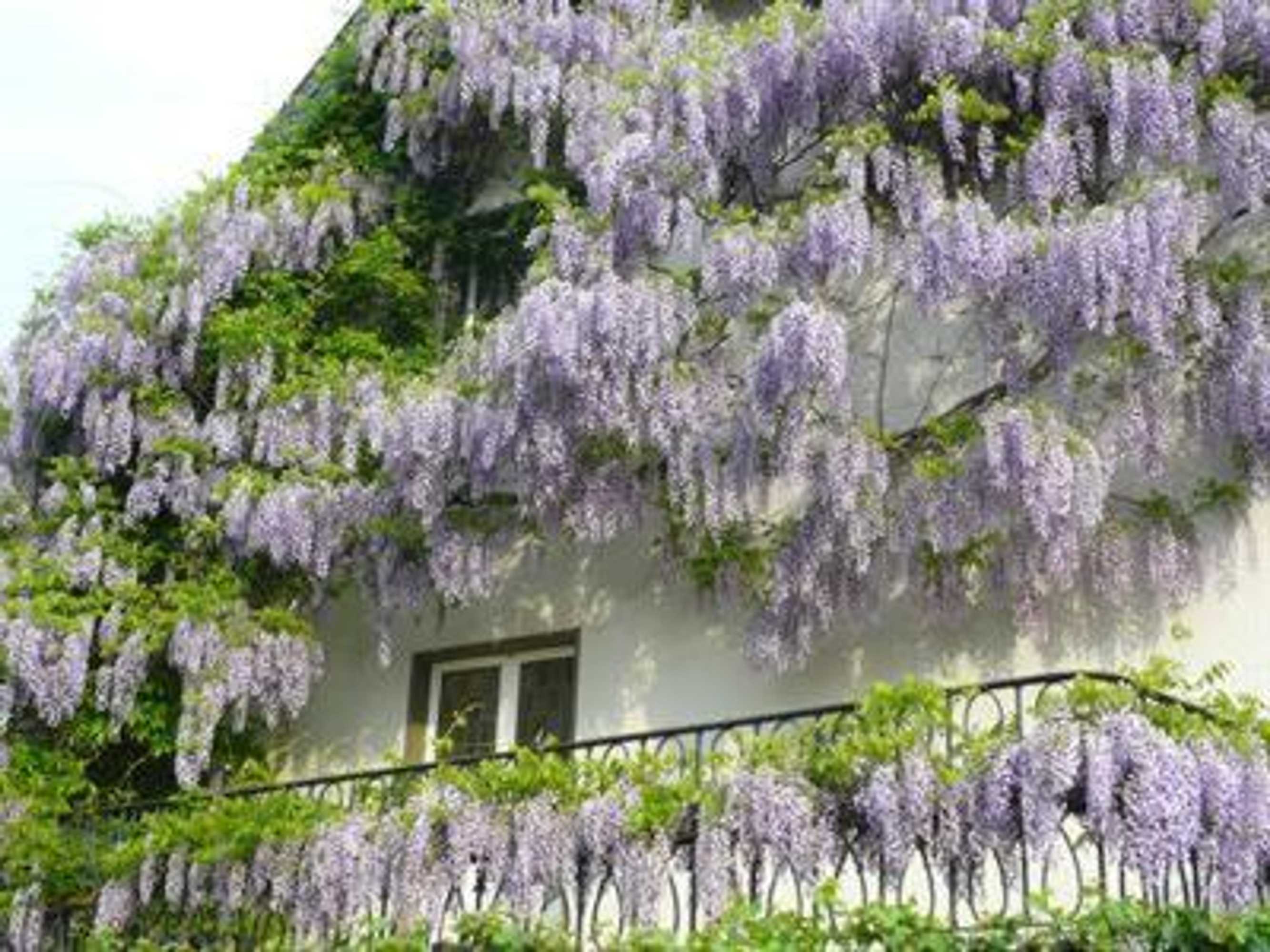 Gift card for Hotel Rosenhaus Garni