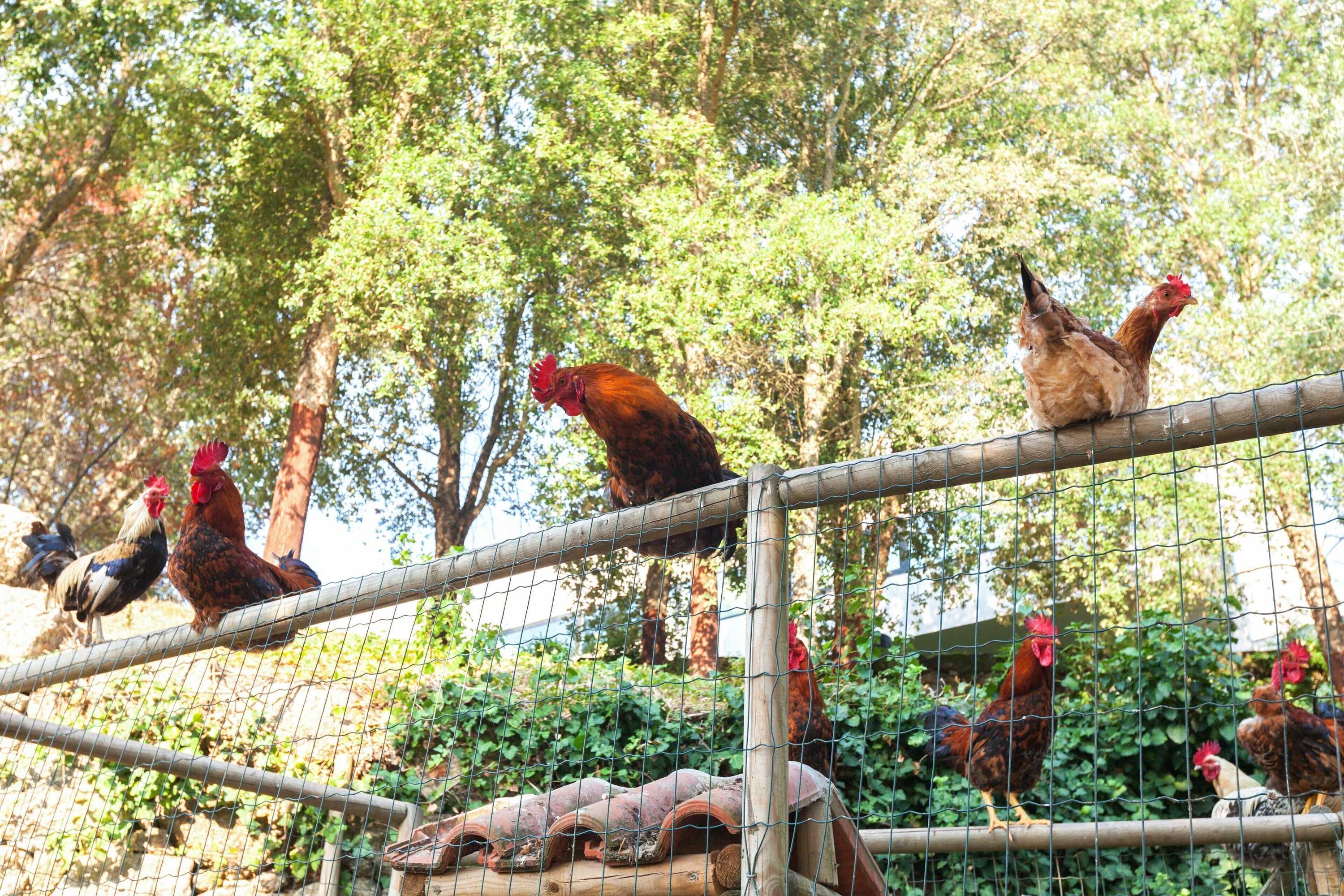 Gift card for Douro Palace Hotel Resort And Spa