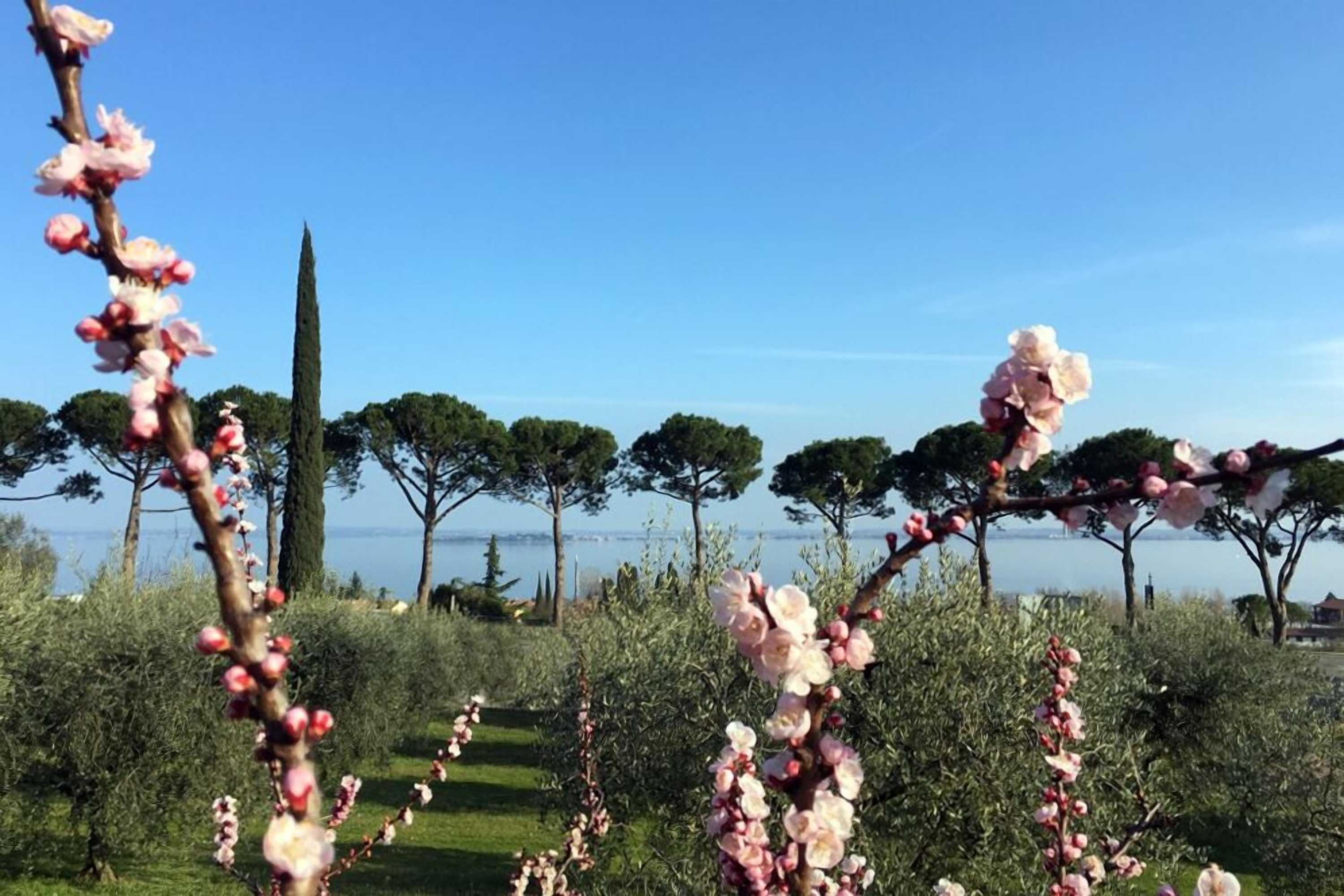 Gift card for Agriturismo Nonna Bettina Gift card for Agriturismo Nonna Bettina