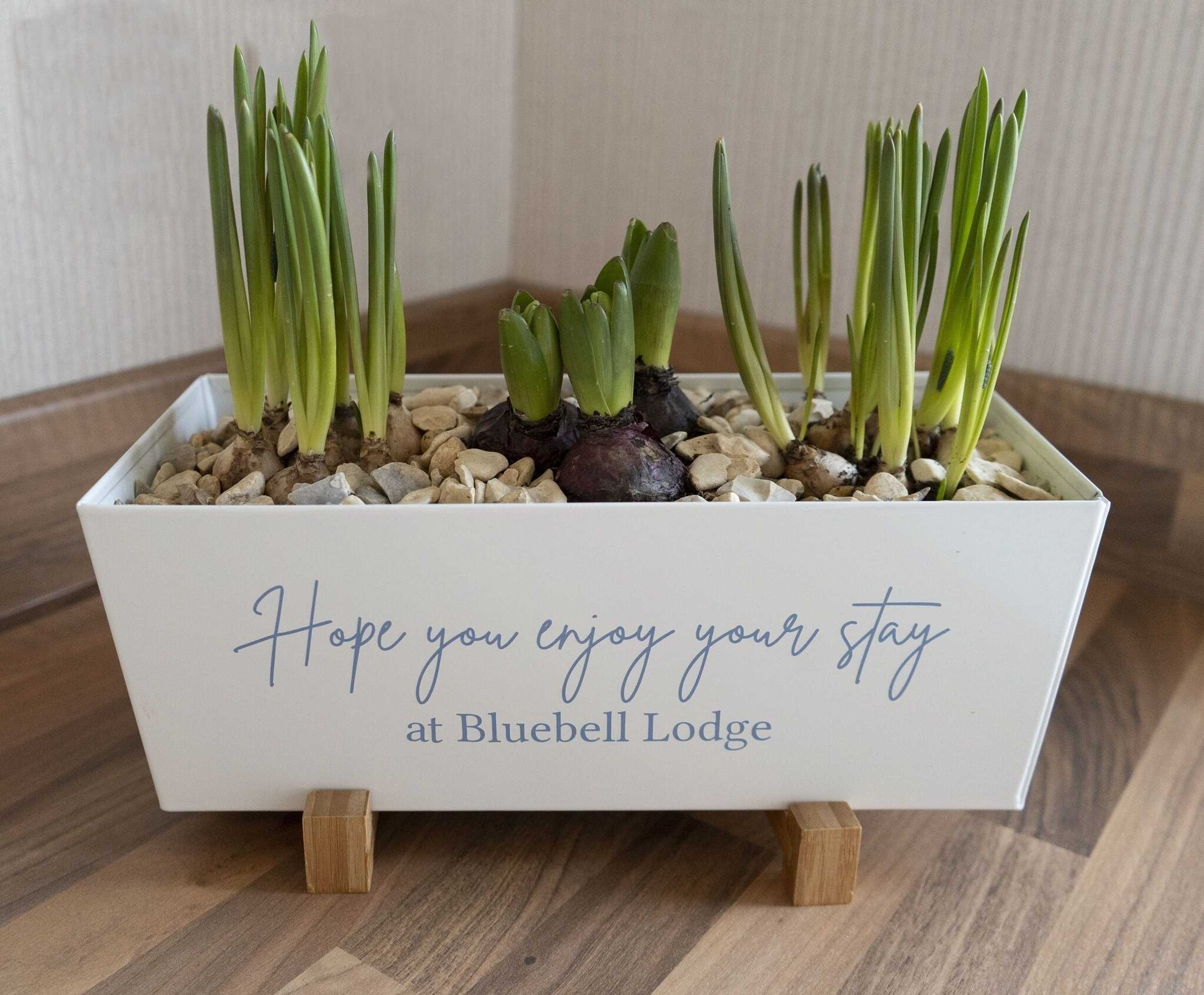 Gift card for Hollicarrs - Bluebell Lodge Gift card for Hollicarrs - Bluebell Lodge