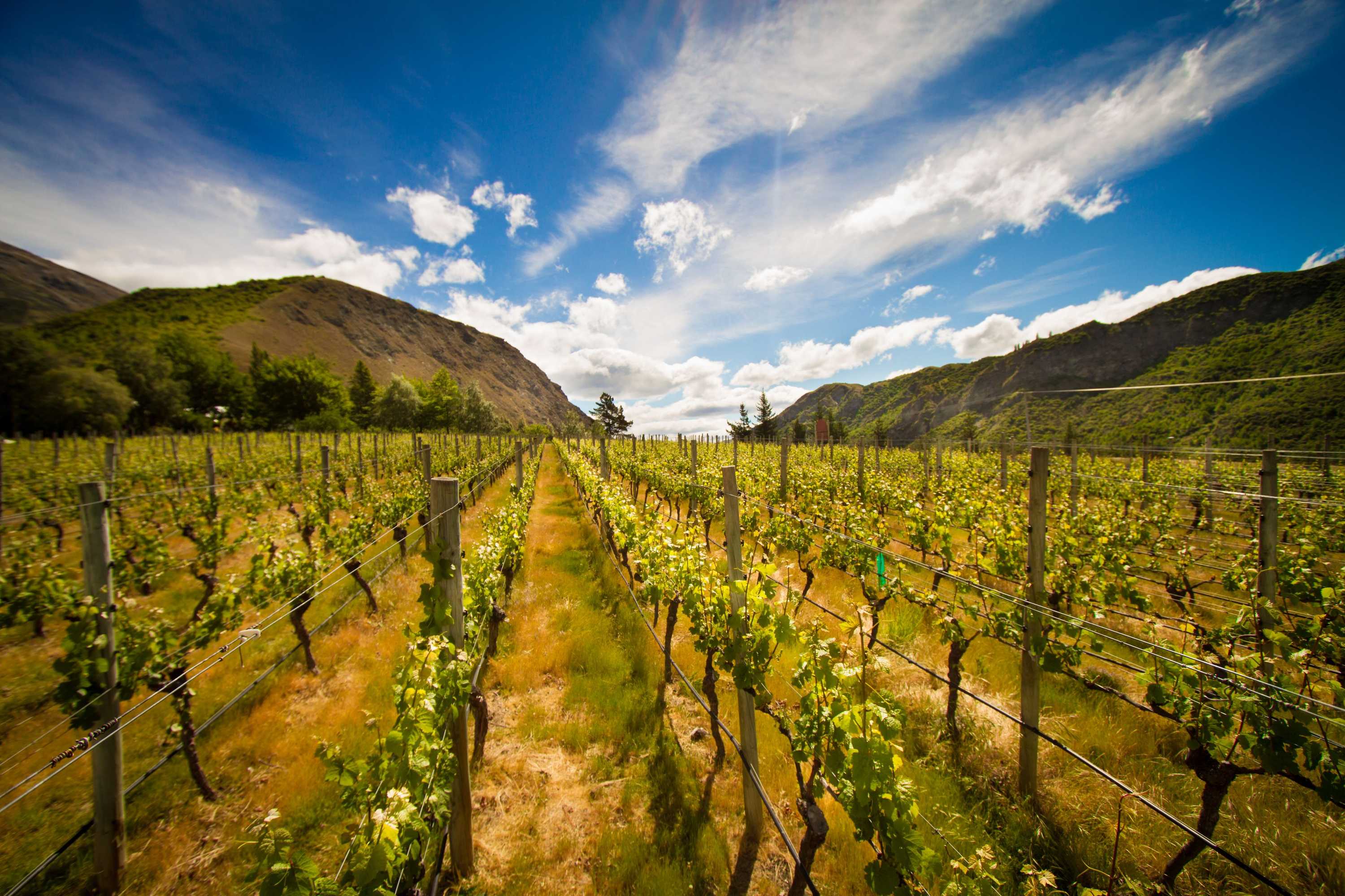 Gift card for Gibbston Valley Lodge & Spa Gift card for Gibbston Valley Lodge & Spa