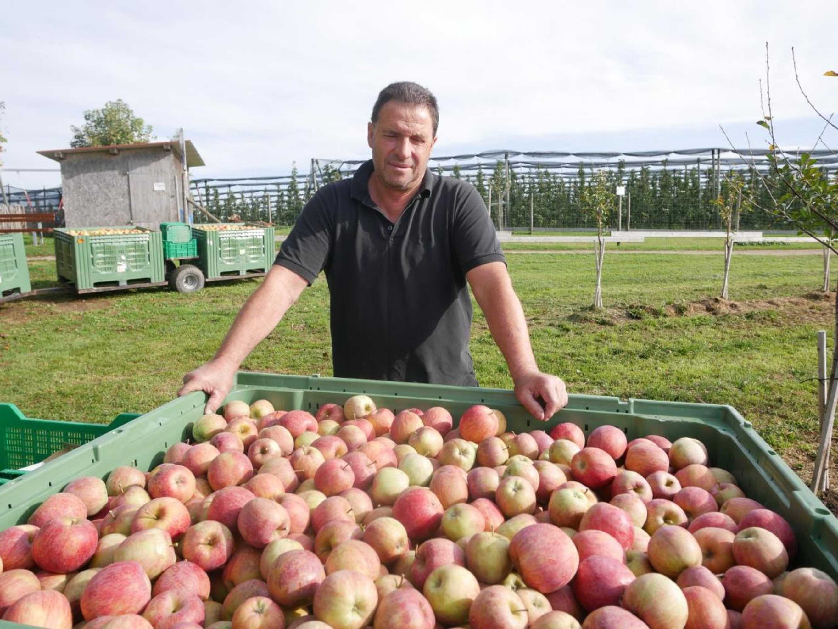 Gift card for Höhlerhof