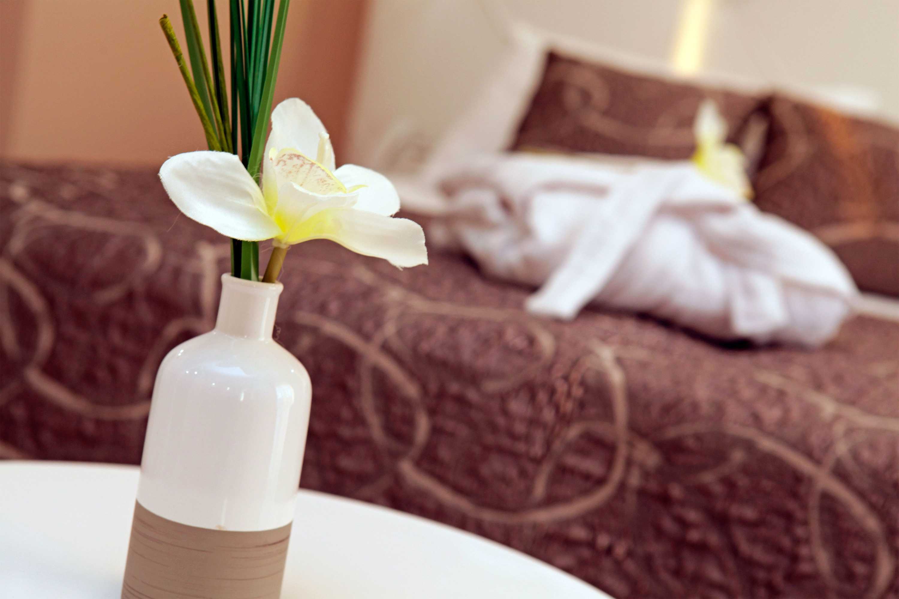 Gift card for Boutique Hotel Villa Telenta Gift card for Boutique Hotel Villa Telenta