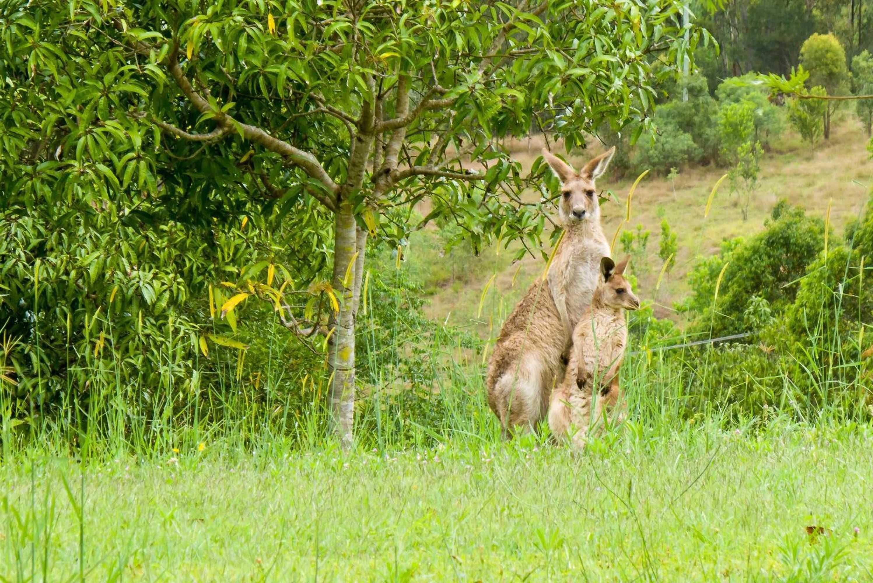 Gift card for Glass On Glasshouse