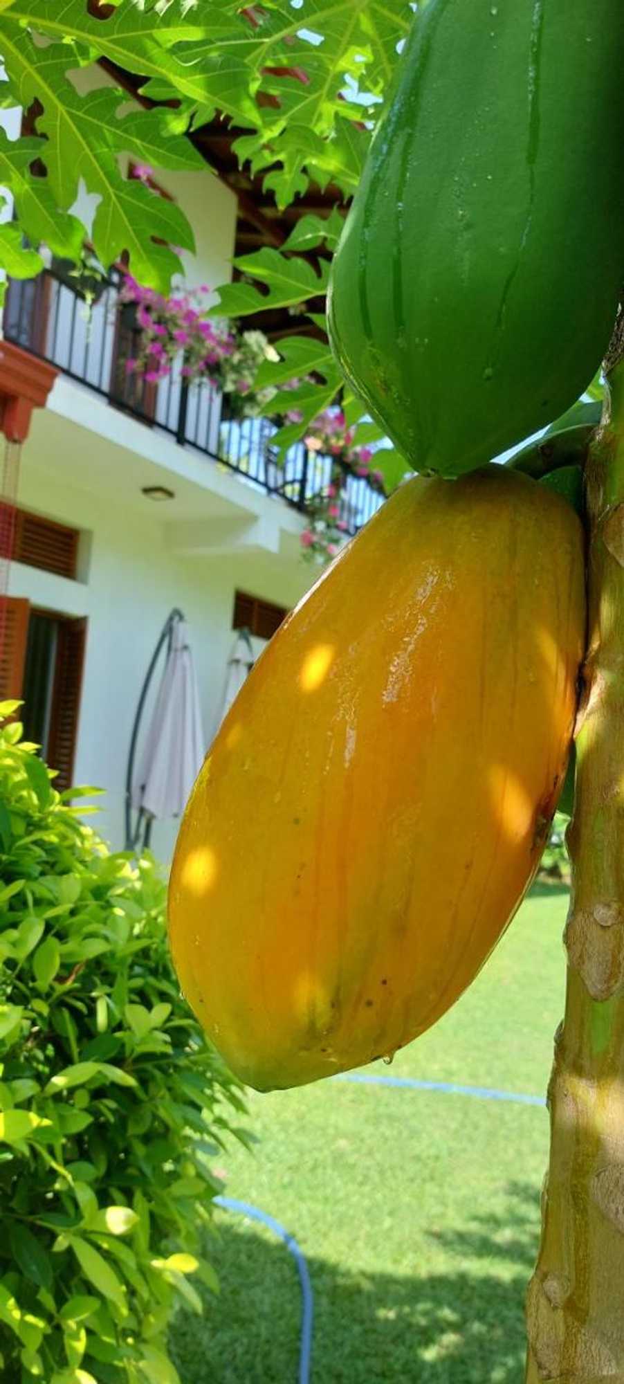 Gift card for Villa 252 Kosgoda