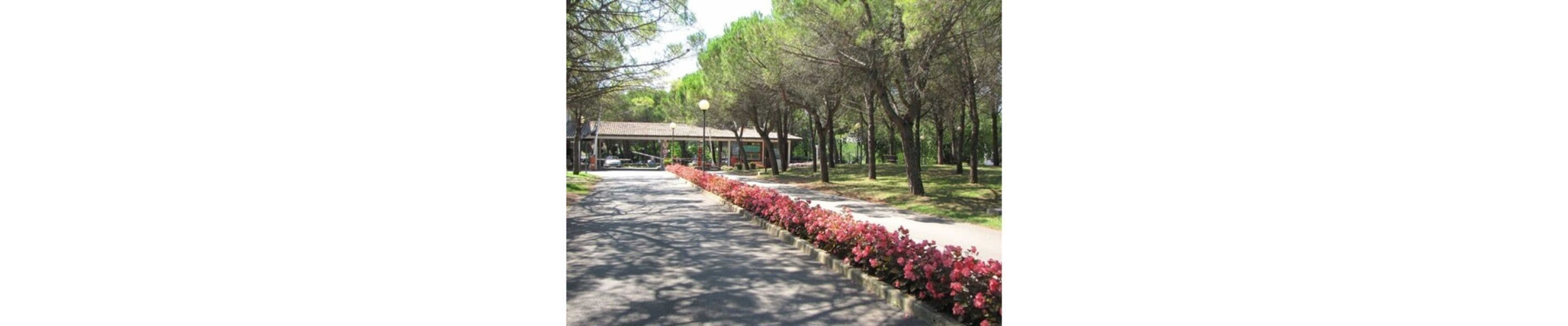 Gift card for Belvedere Pineta Camping Village Gift card for Belvedere Pineta Camping Village