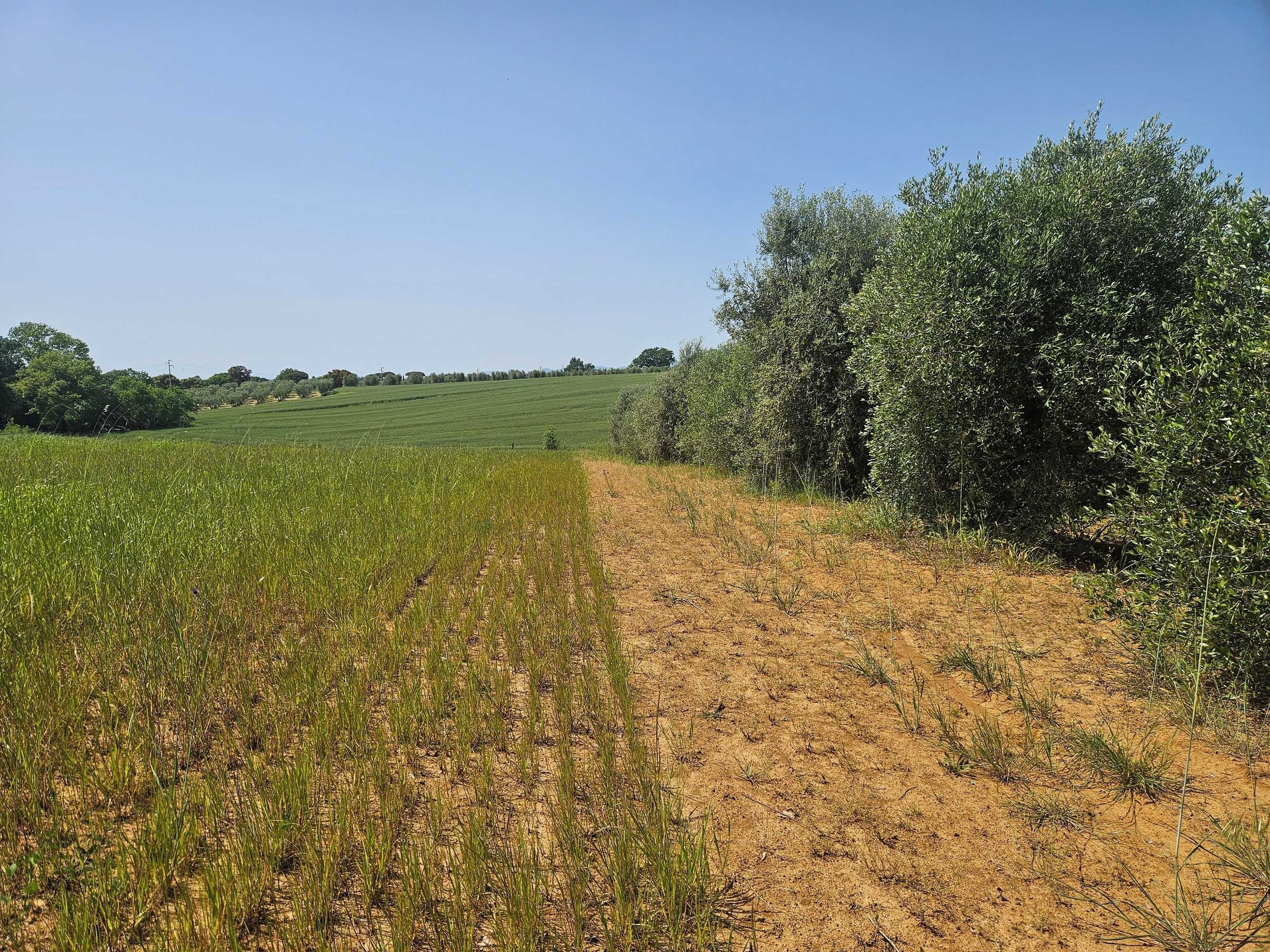 Gift card for Agriturismo Il Migliarino