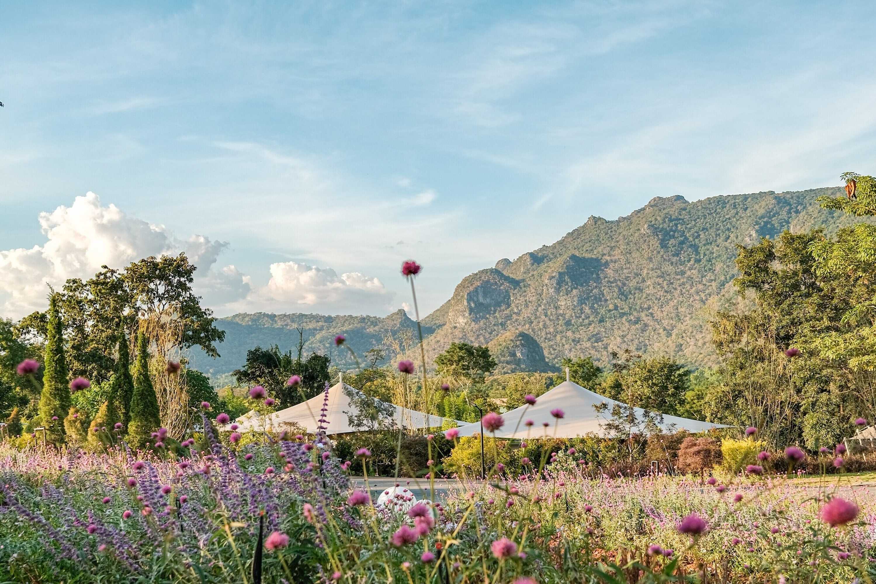 Gift card for Marasca Khao Yai - Eco-Friendly Glamping Escape Near National Park Gift card for Marasca Khao Yai - Eco-Friendly Glamping Escape Near National Park